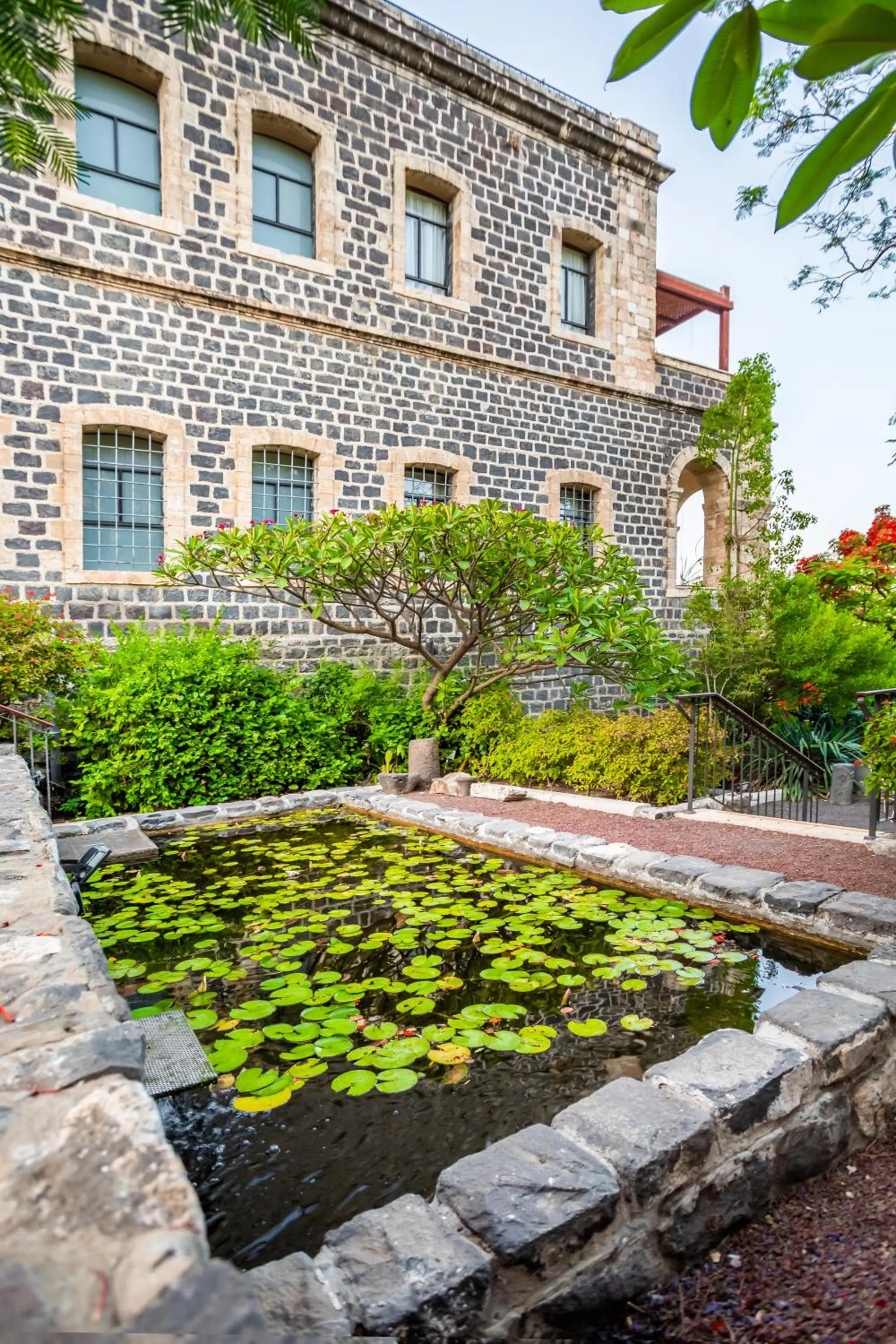 Garden in The Scots Hotel