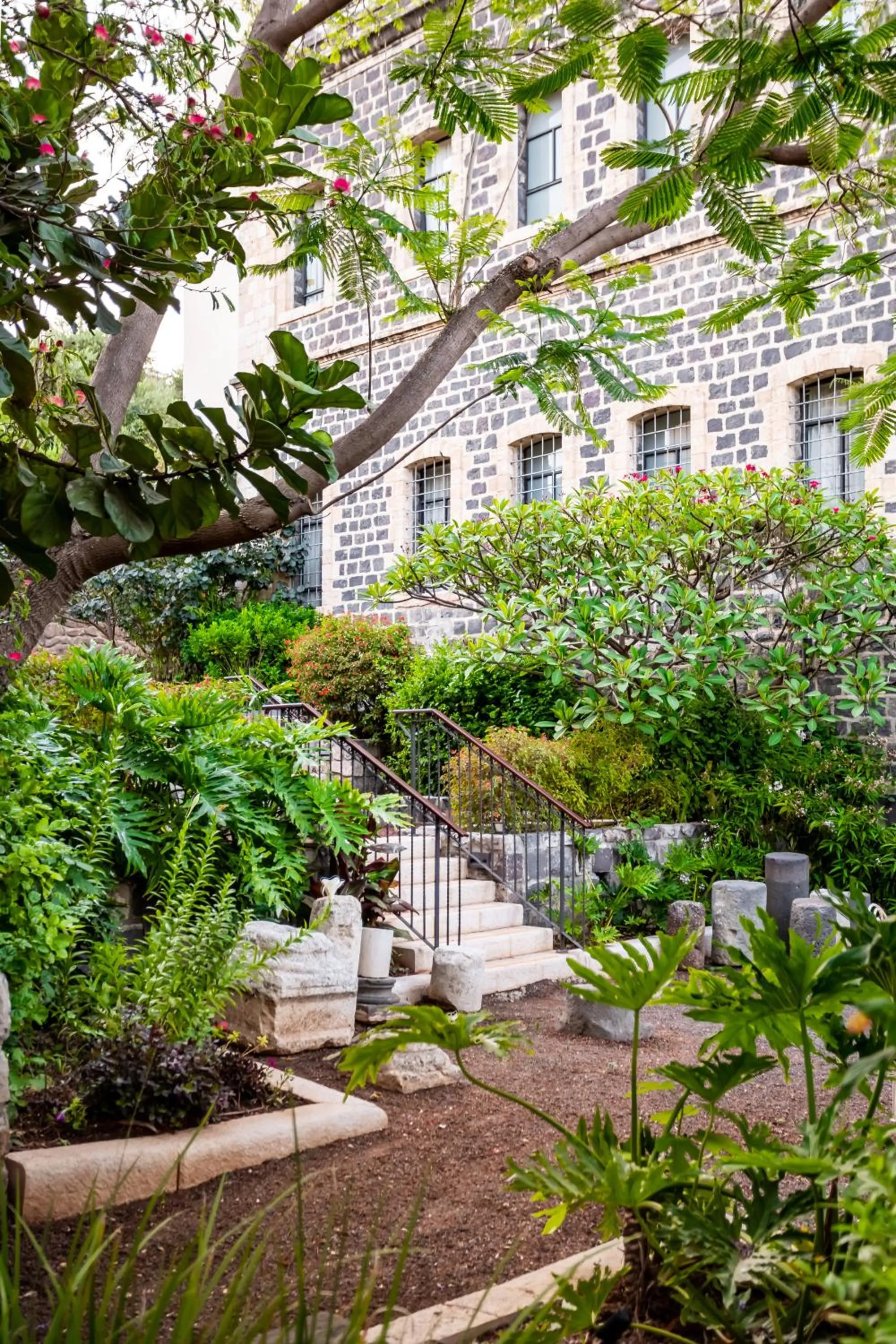 Garden in The Scots Hotel