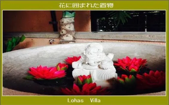Lohas Villa