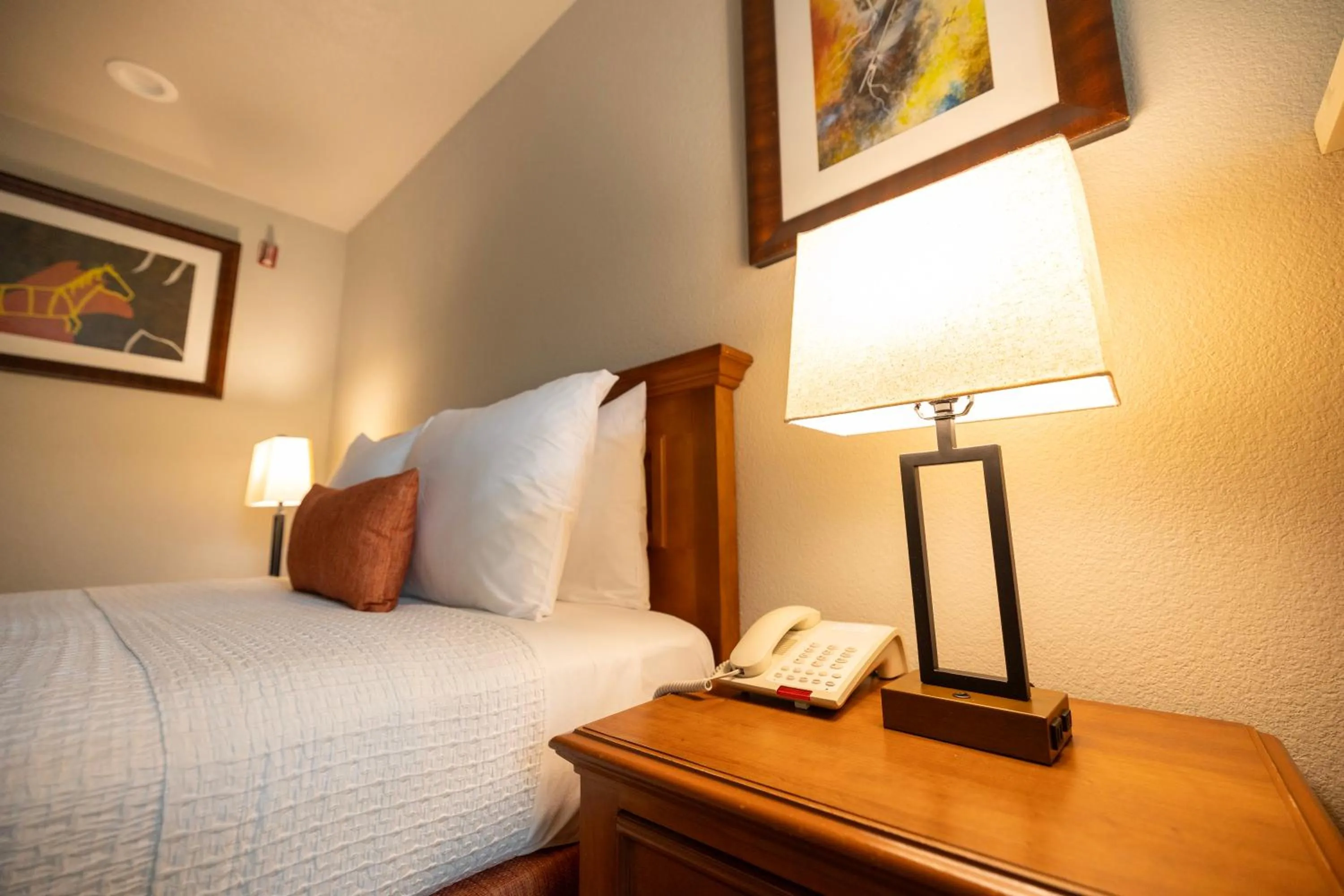 Bed in Alamo Inn and Suites - Convention Center