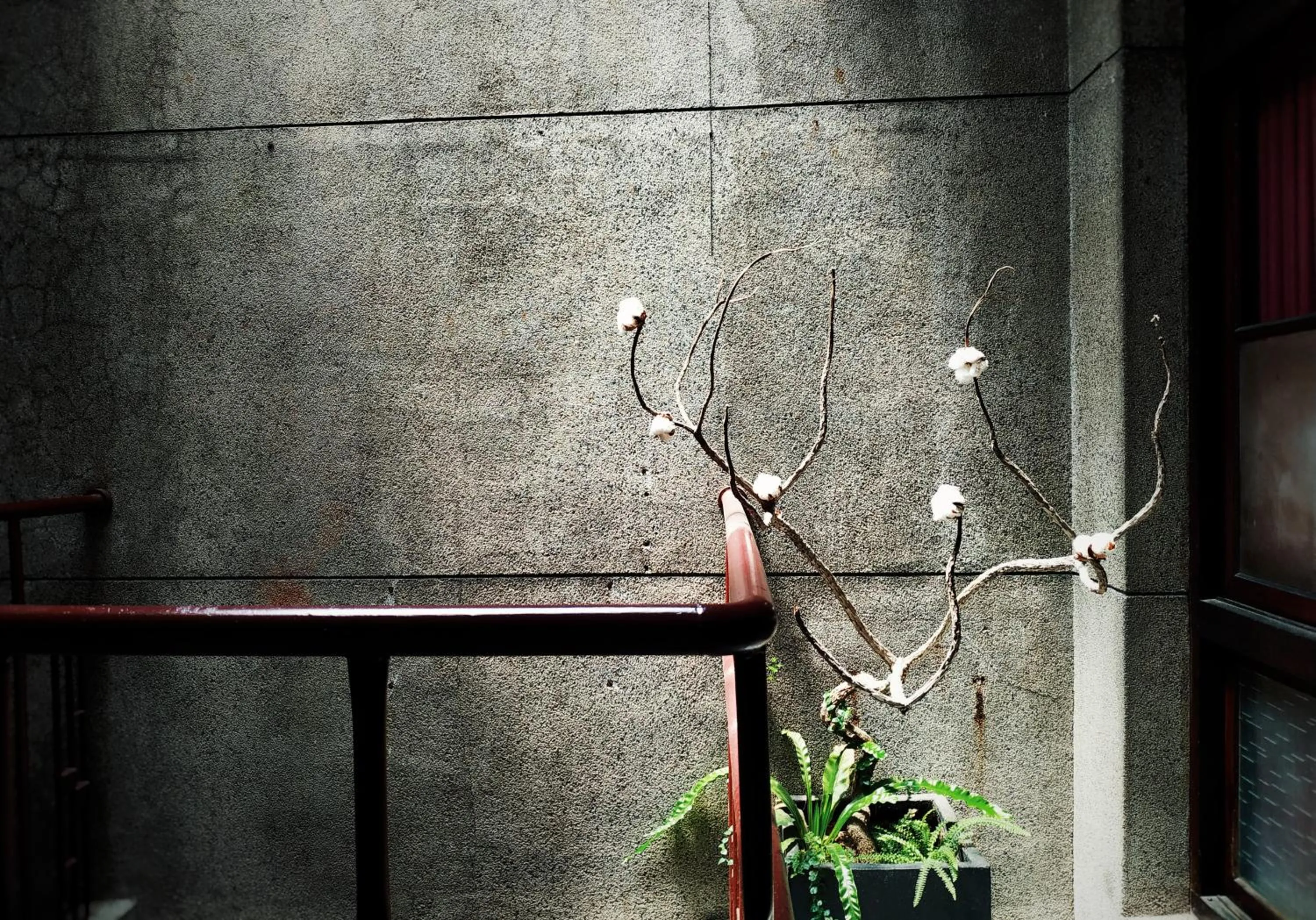 Inner courtyard view in GOIN Old House & Bar