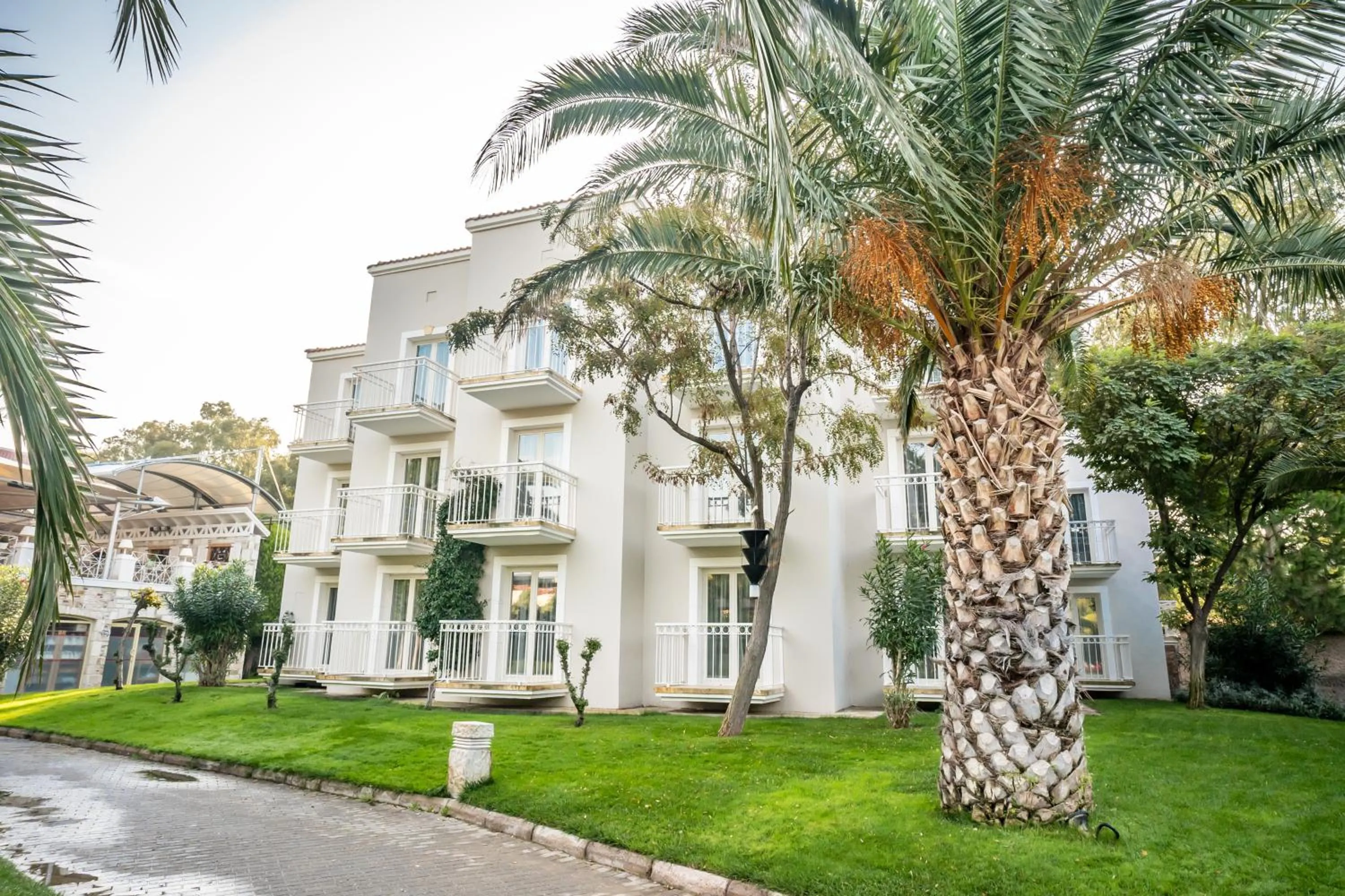 Garden in Mark Warner Phokaia Beach Resort