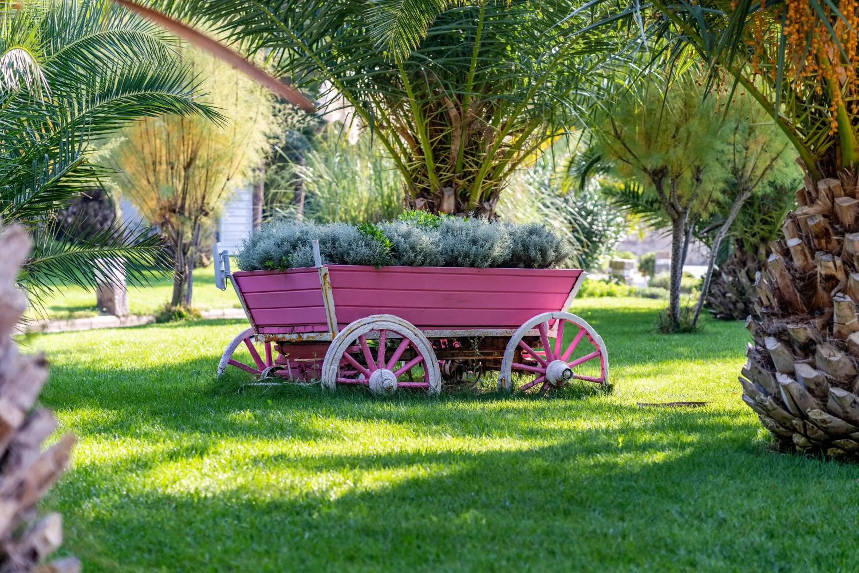 Garden in Mark Warner Phokaia Beach Resort