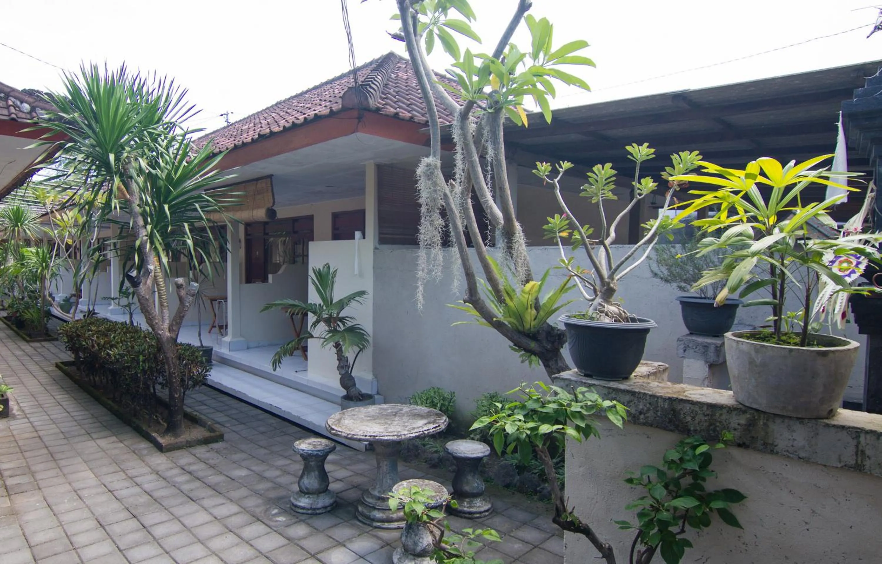 Area and facilities in Pondok Nuri Homestay