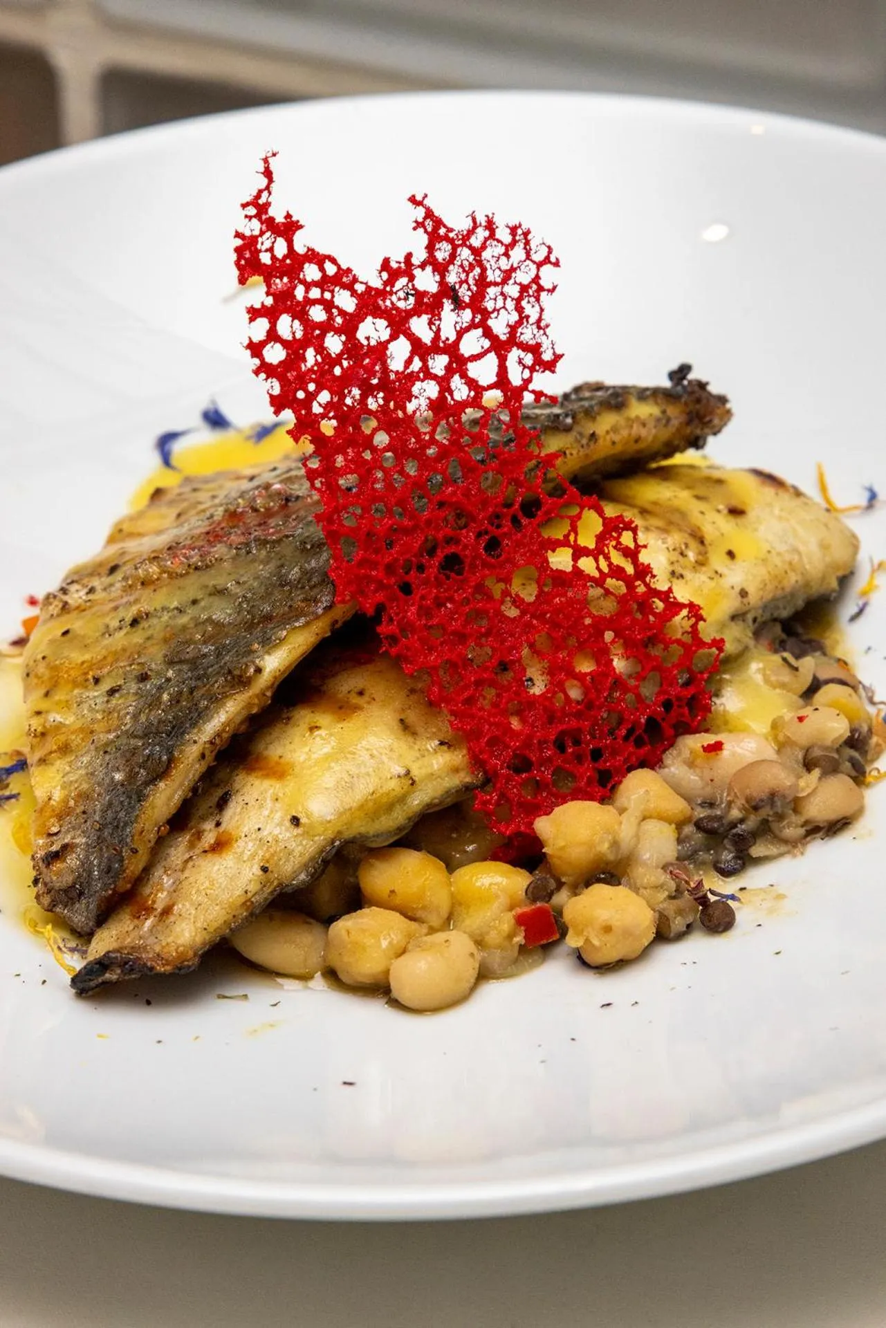 Egnatia City Hotel & Spa