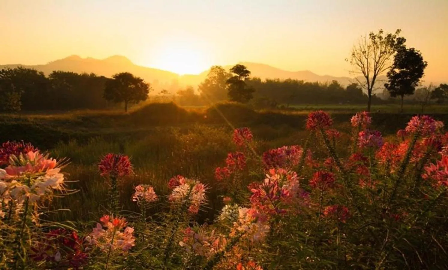 View (from property/room) in Belle Villa Resort, Pai