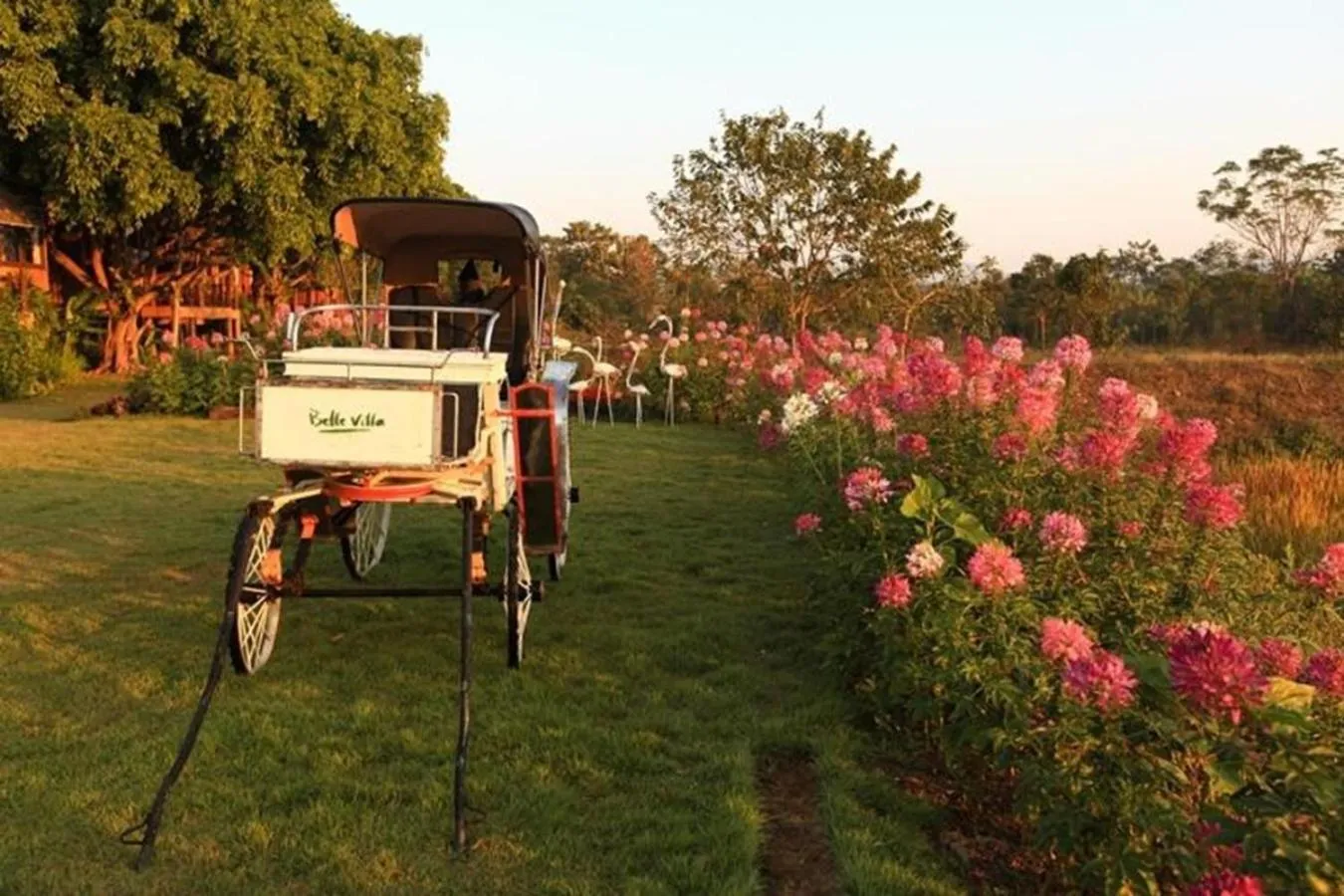 Garden in Belle Villa Resort, Pai
