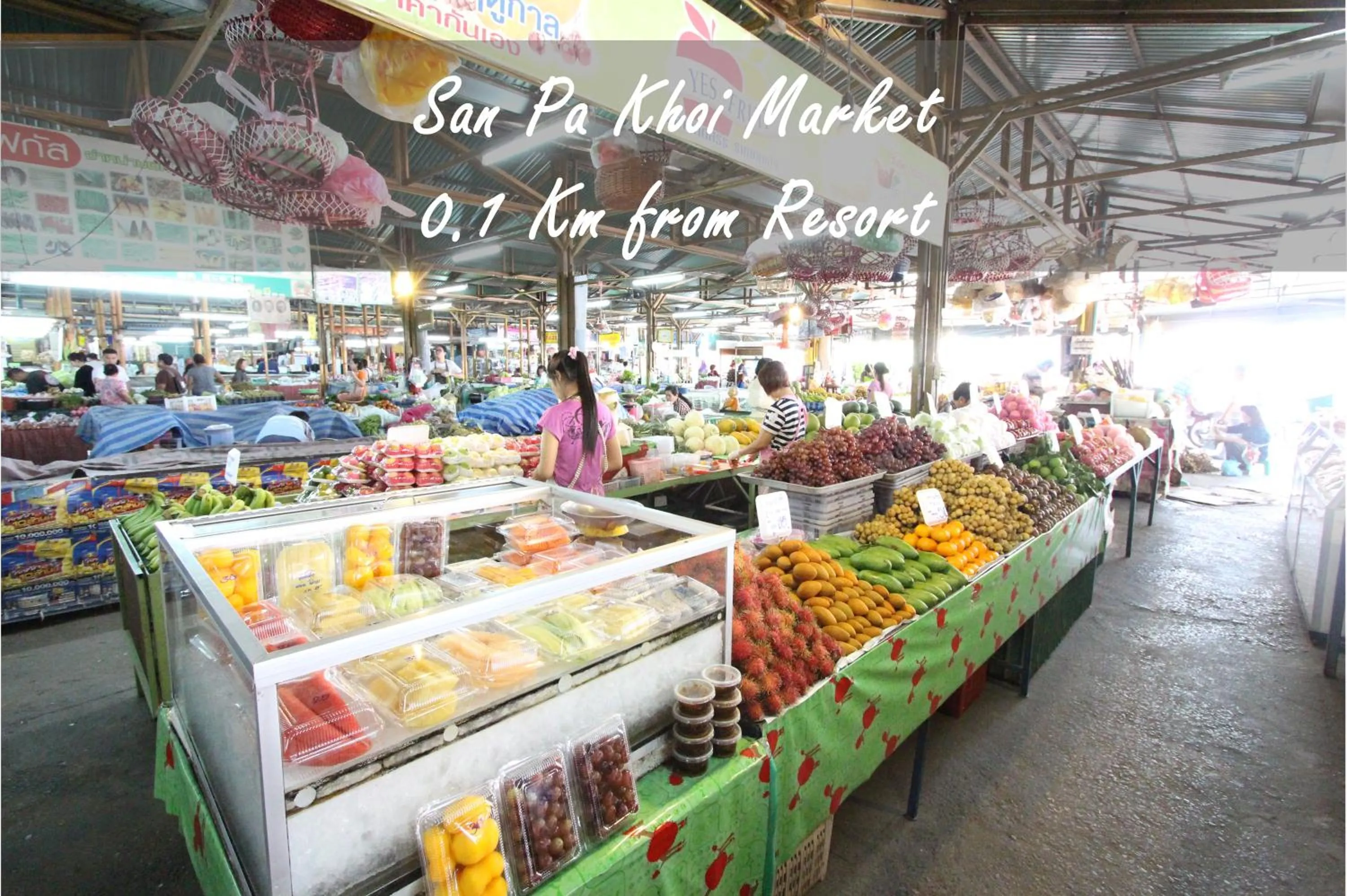 Area and facilities in Shewe Wana Suite Resort