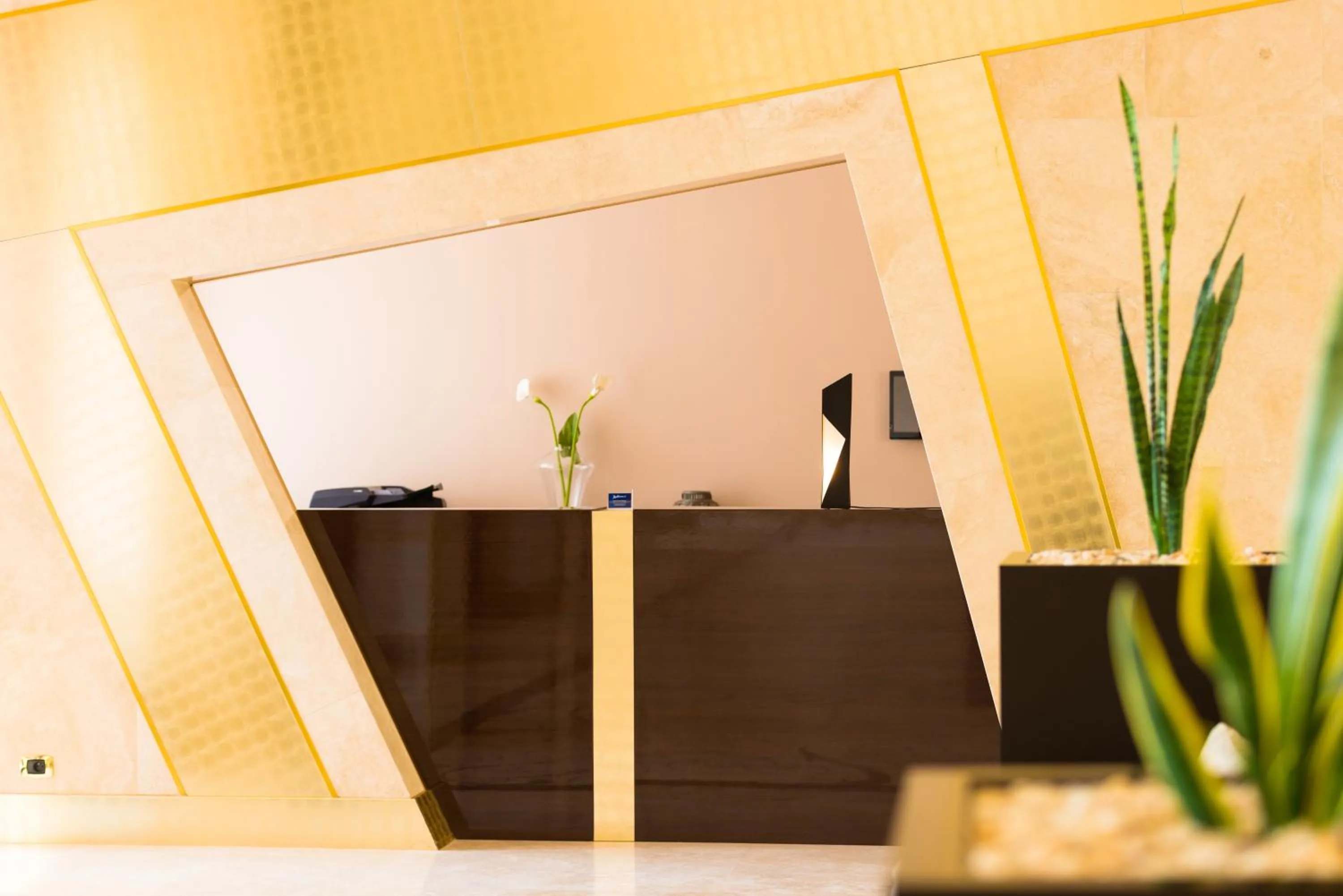 Lobby or reception in Radisson Blu Hotel N'Djamena