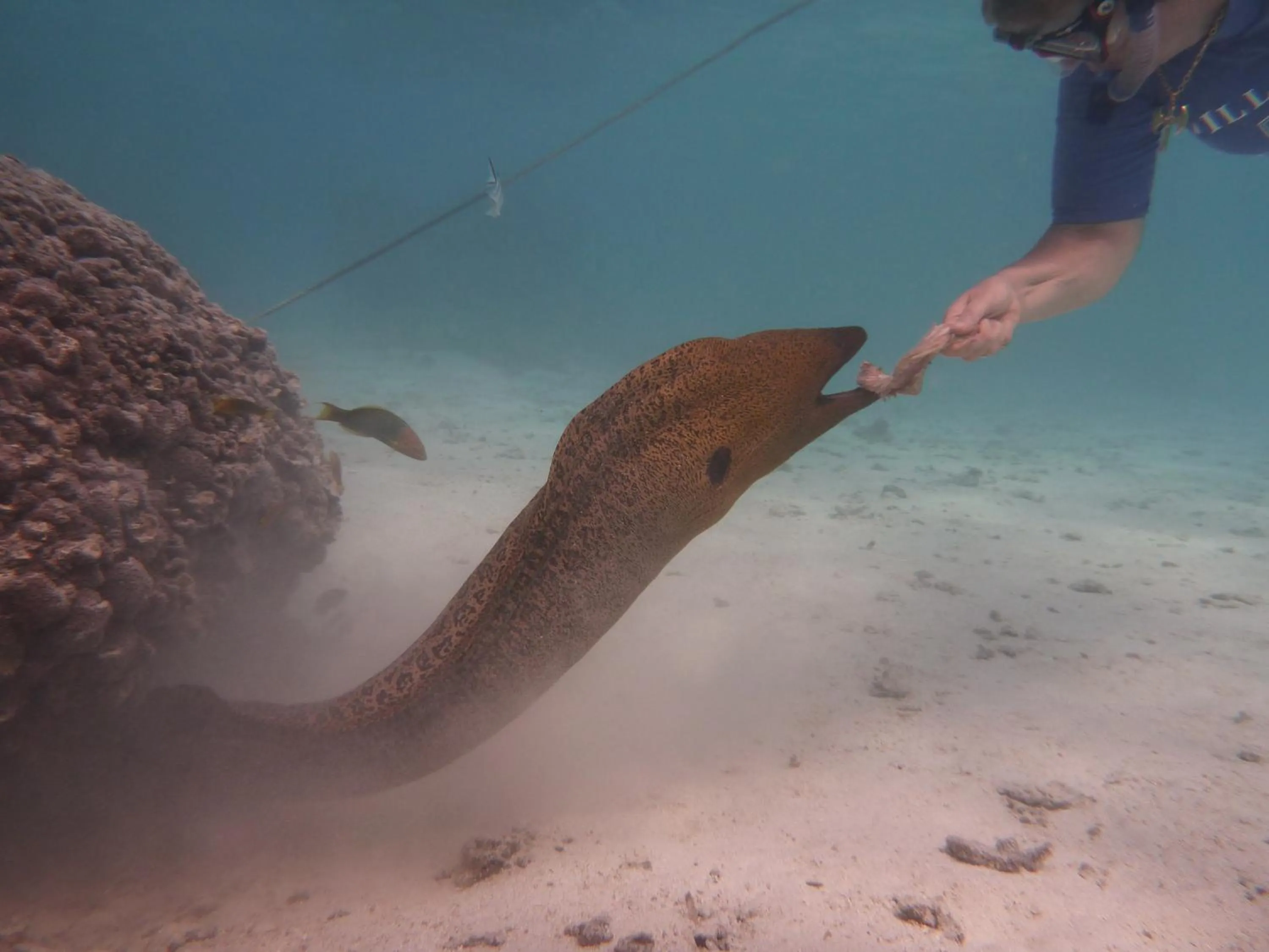 Activities in Muri Beach Club Hotel