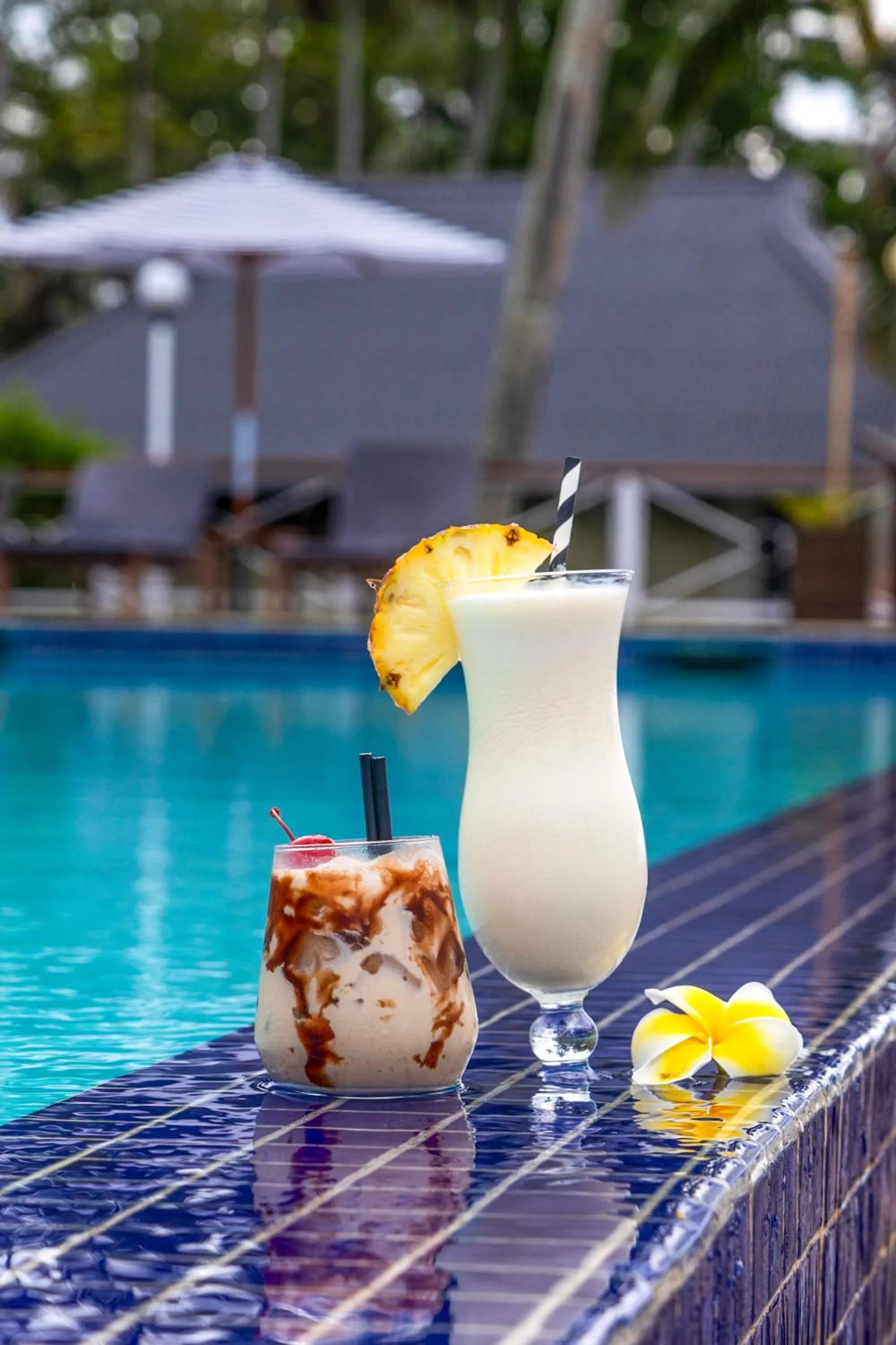 Drinks in Iririki Island Resort & Spa