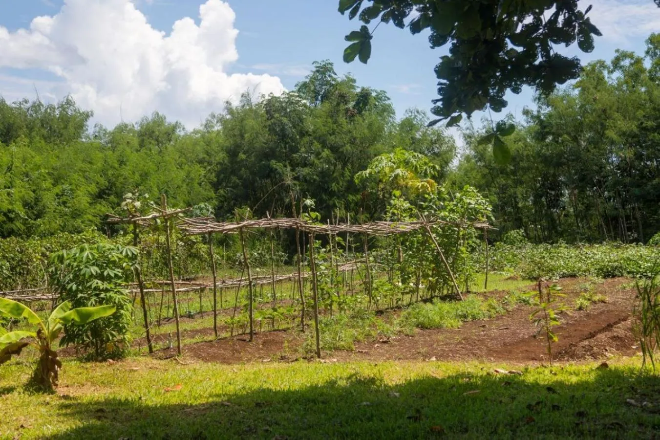 Other in Iririki Island Resort & Spa