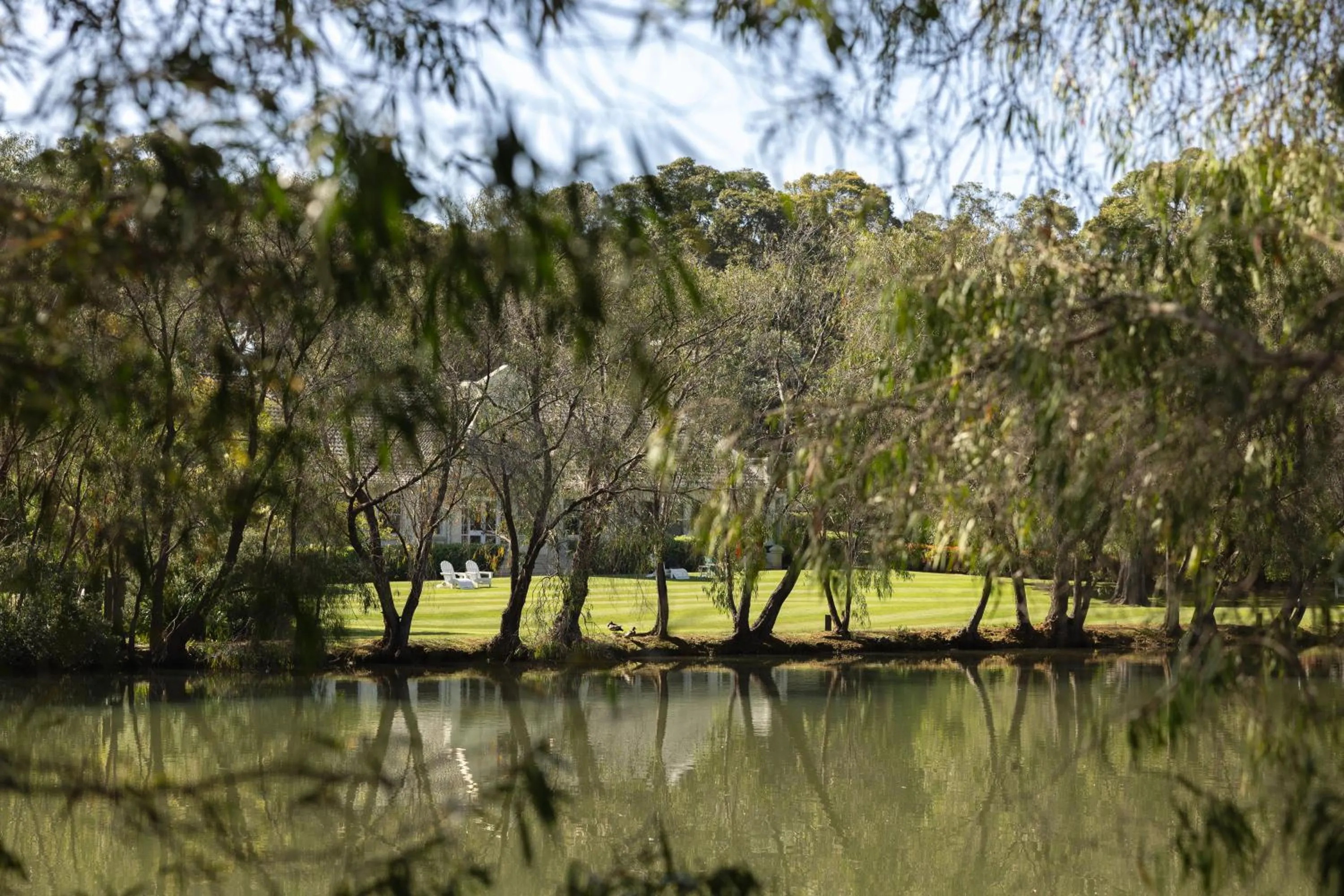Garden in Cape Lodge