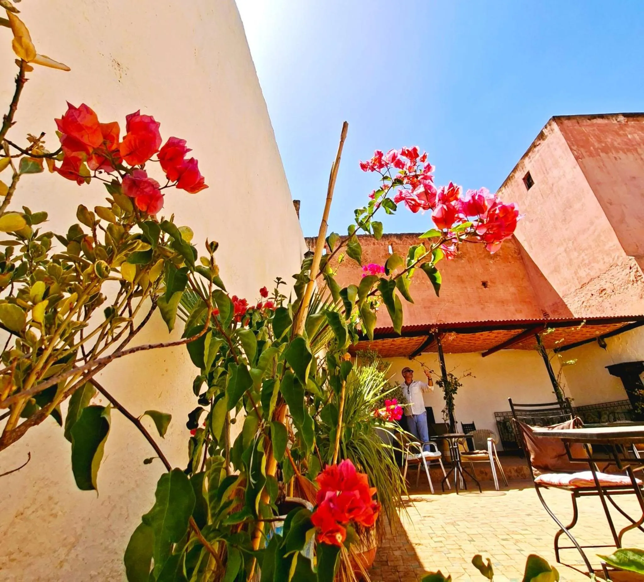 Patio in Riad Menthe Et Citron