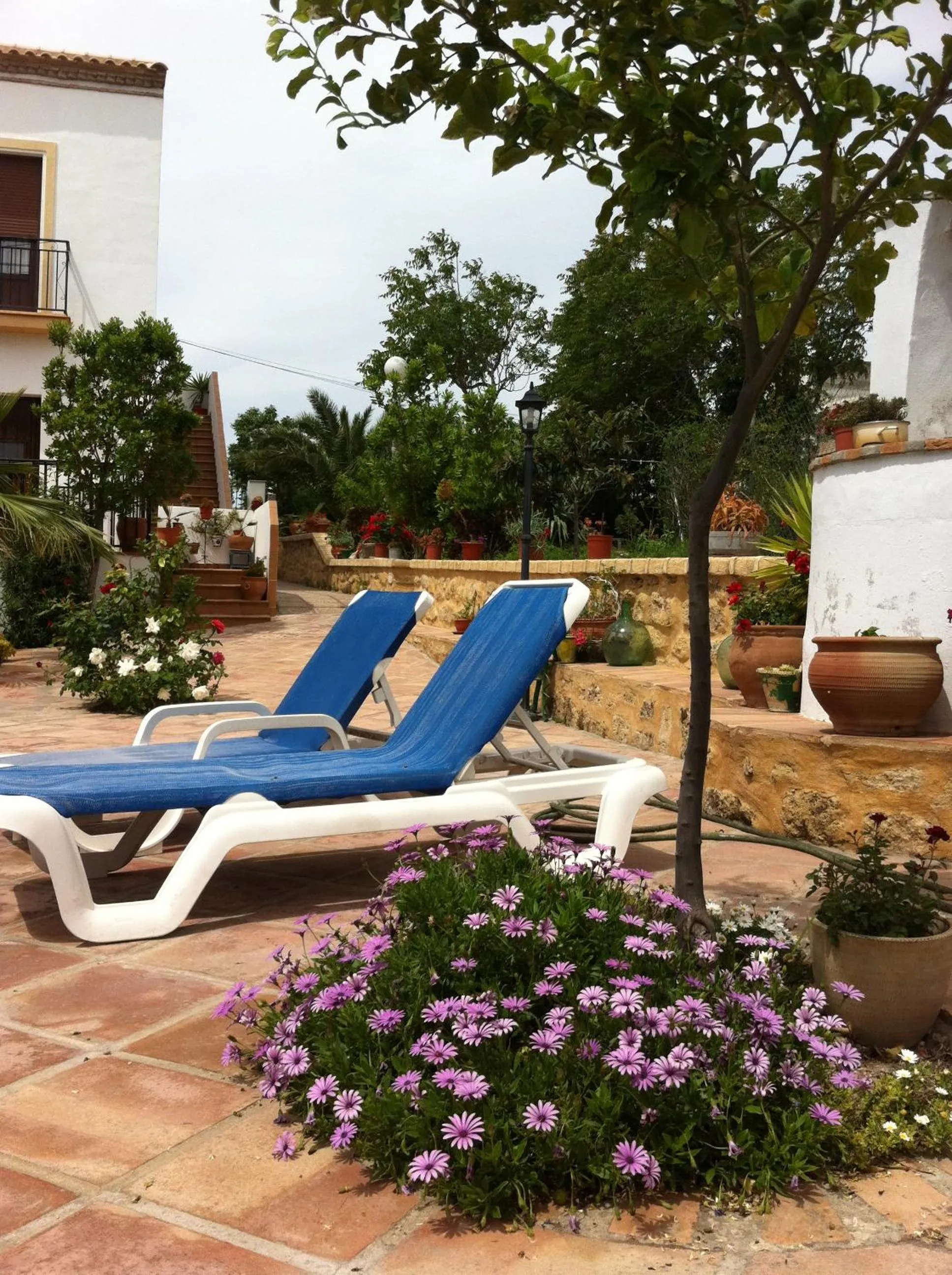 Day in Hotel El Molino