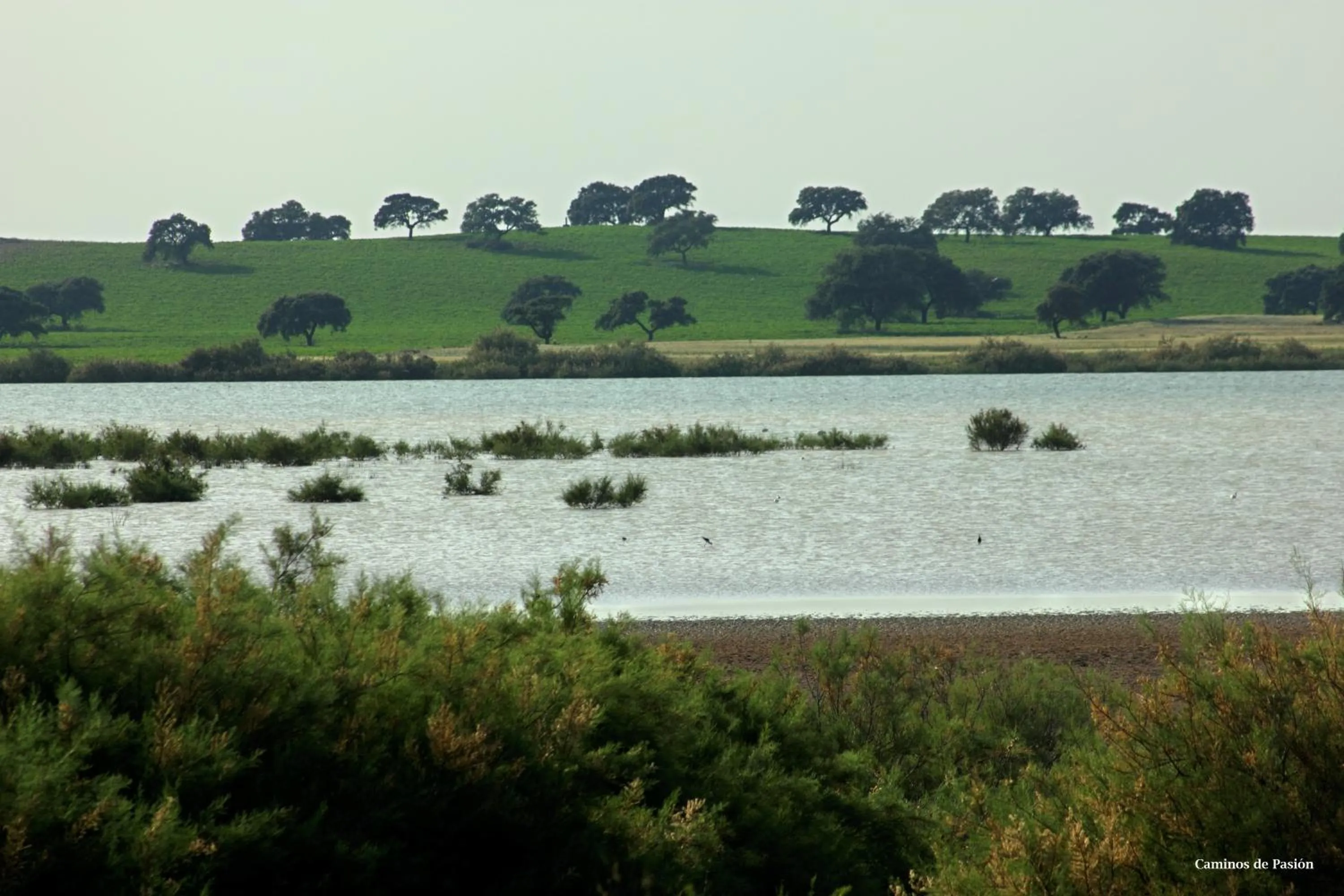 Activities in Hotel El Molino