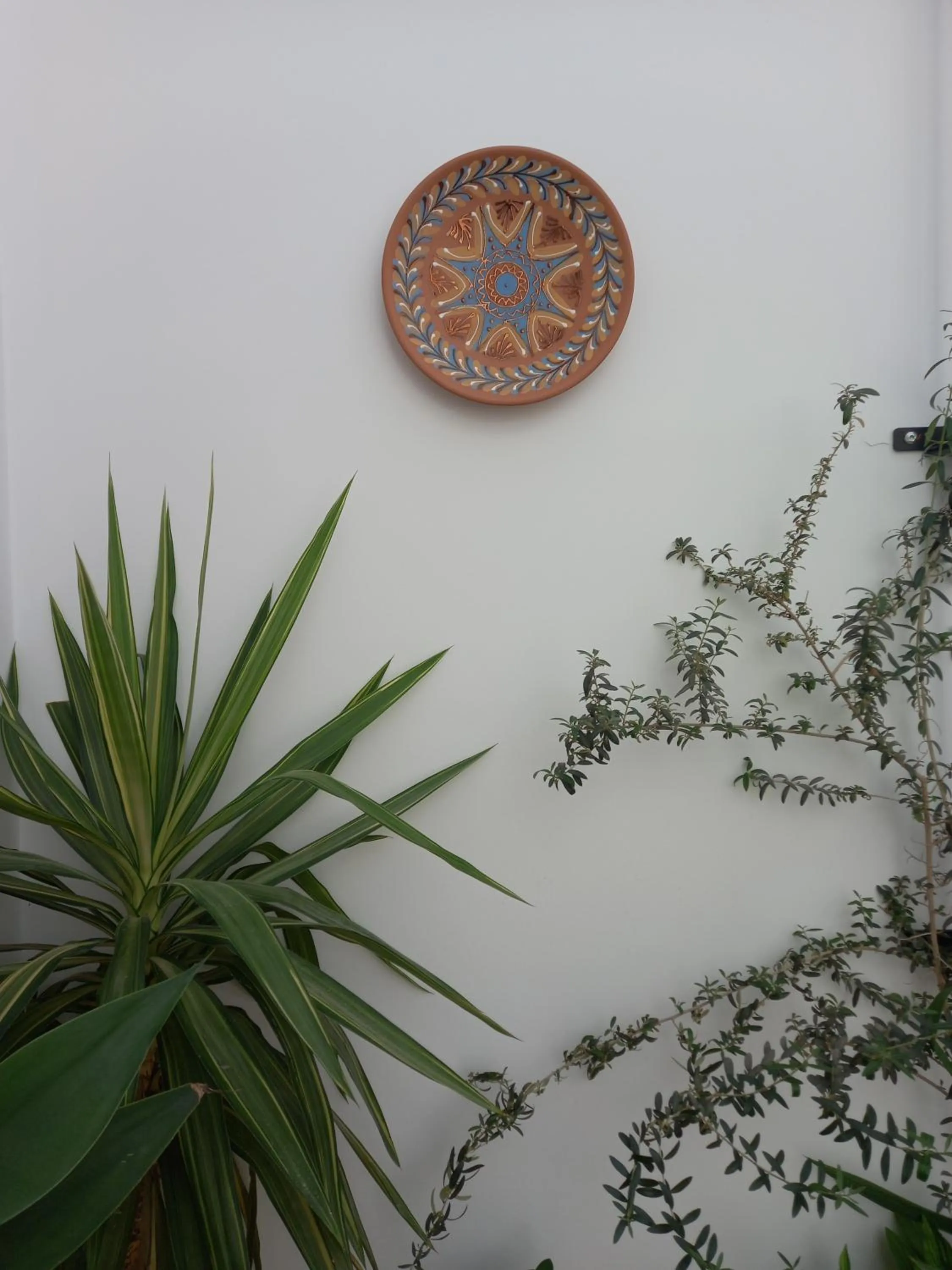 Patio in Hotel El Molino