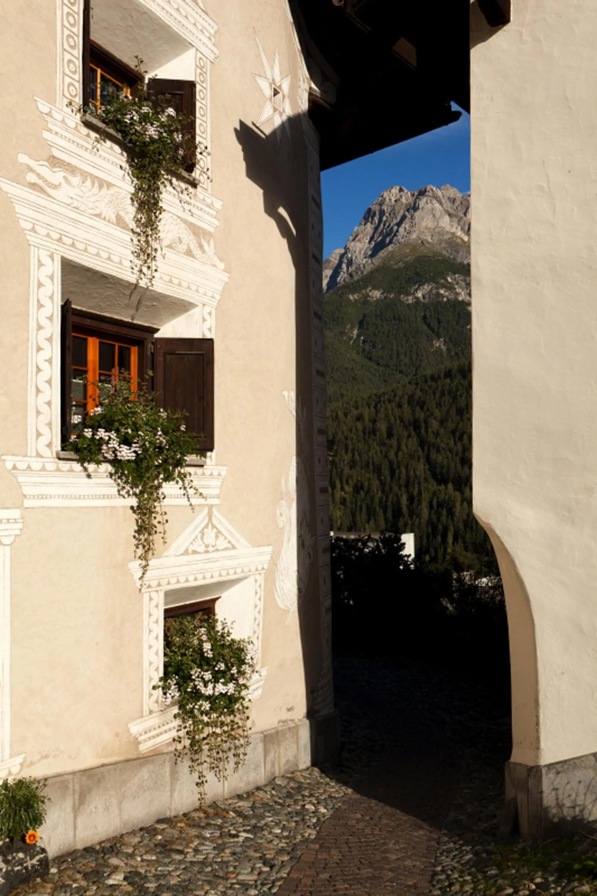 Area and facilities in Hotel Astras