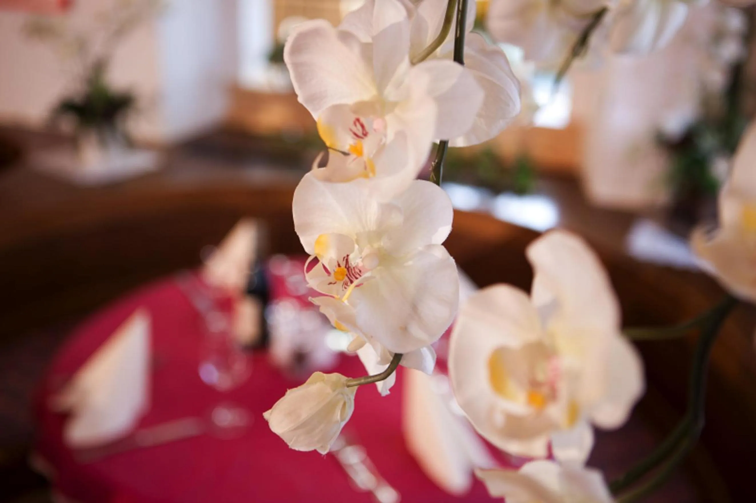 Other in Hotel Astras