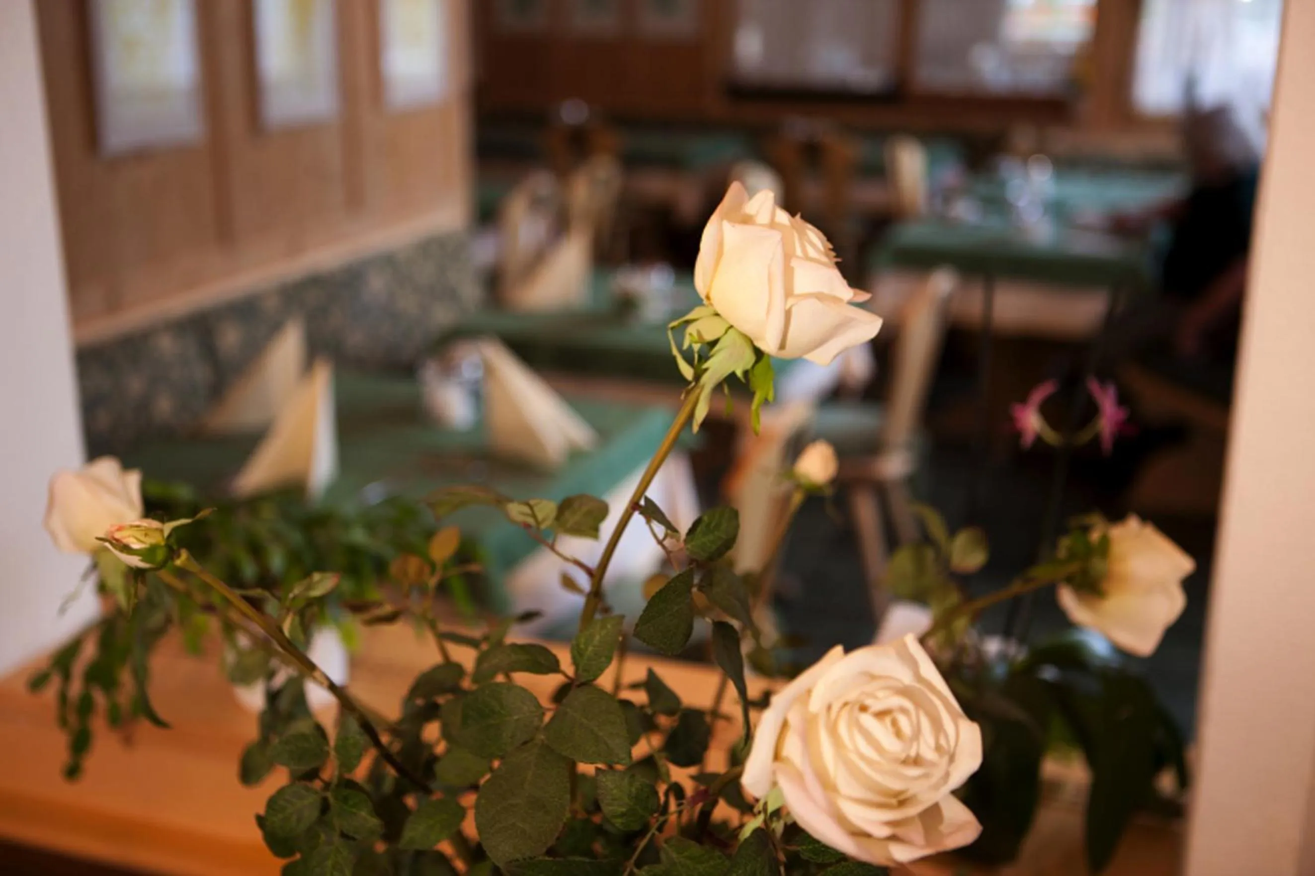 Other in Hotel Astras