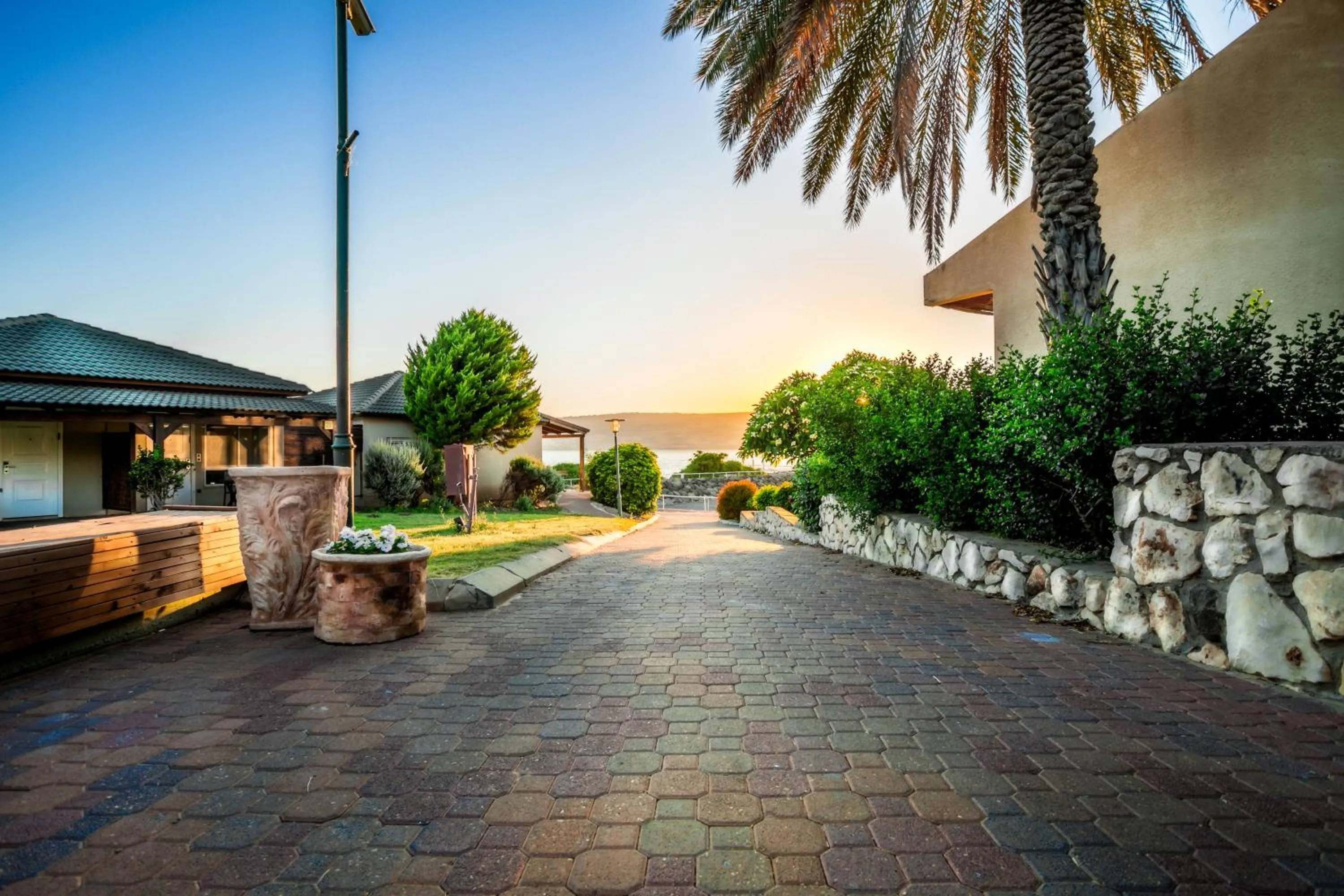 Garden in Daria- Authentic Israeli Experience