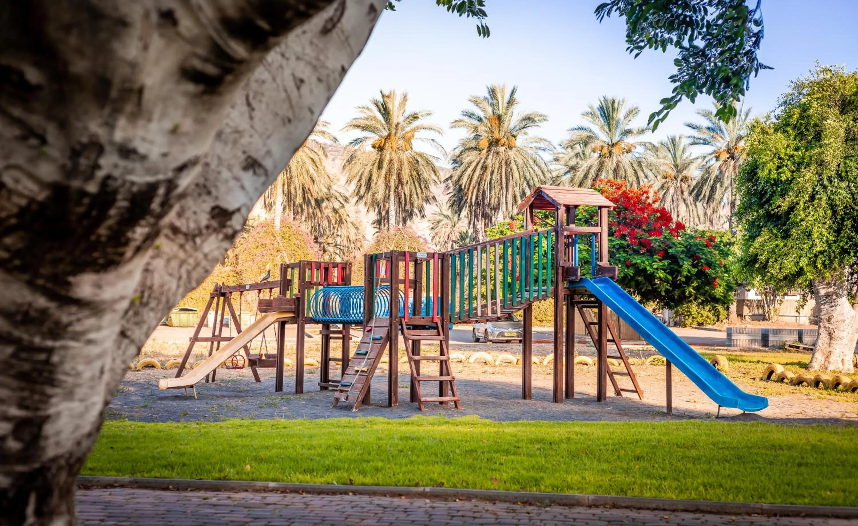 Children play ground in Daria- Authentic Israeli Experience