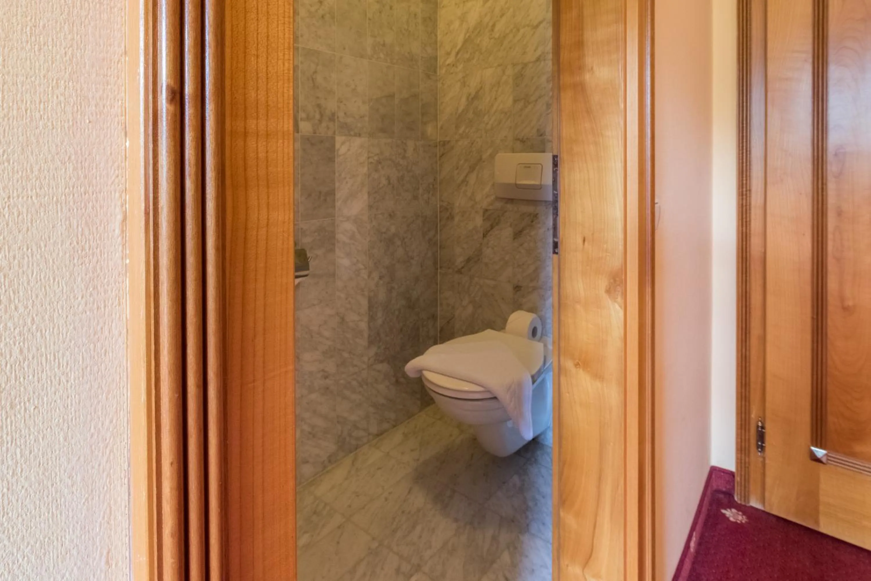 Toilet in Hotel Germania Gastein - ganzjährig inklusive Alpentherme Gastein & Sommersaison inklusive Gasteiner Bergbahnen