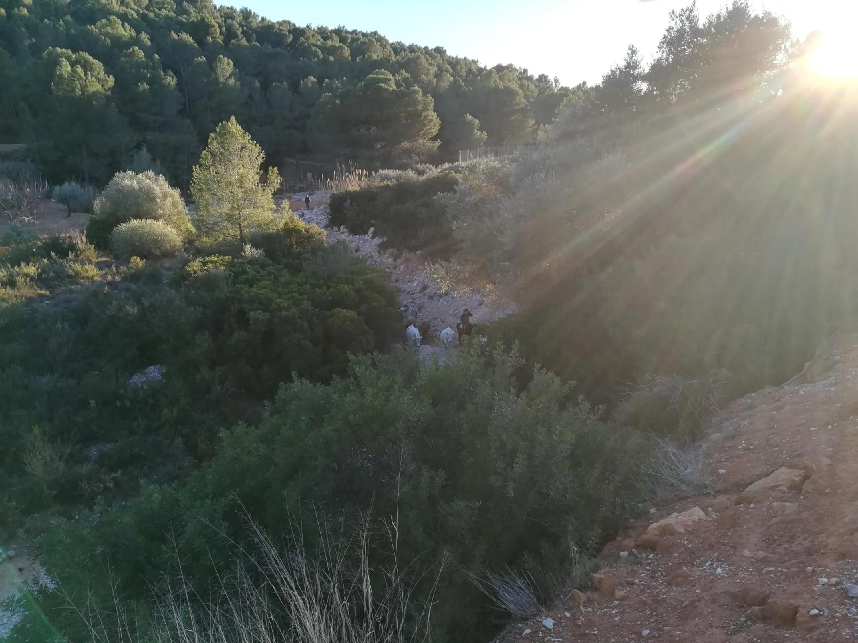 Natural landscape in Pou De Beca Allotjaments i agroturisme