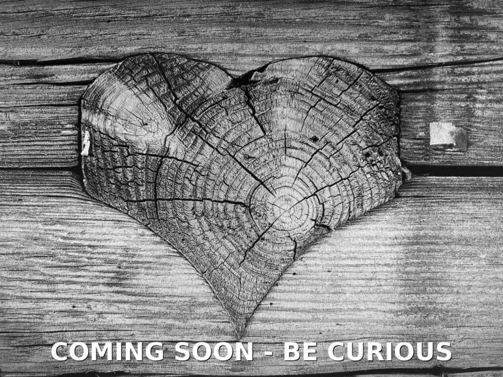 Suite with Sauna in Hotel Spielmann Suite with Sauna in Hotel Spielmann