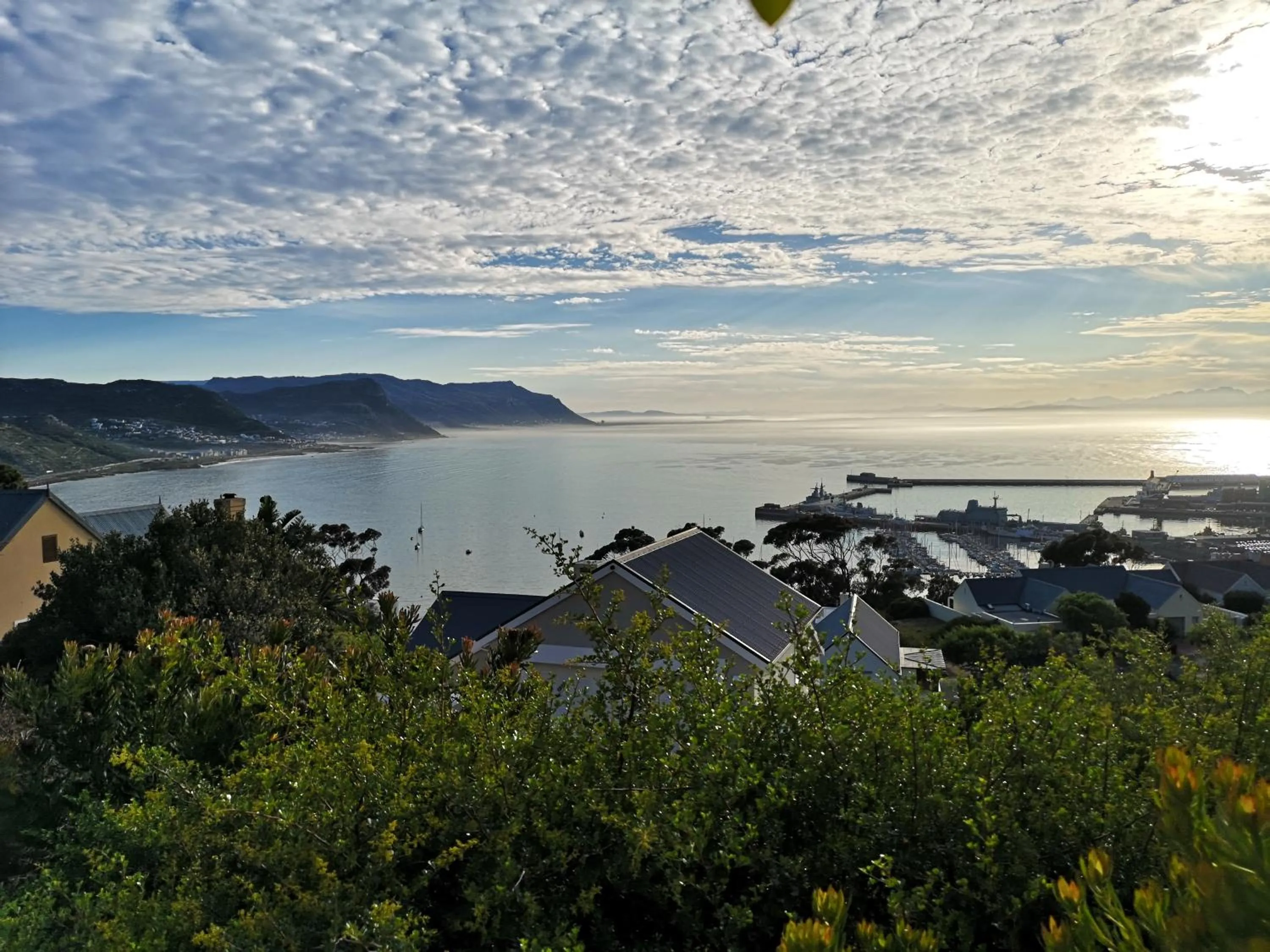 Garden view in Albatross Guest House
