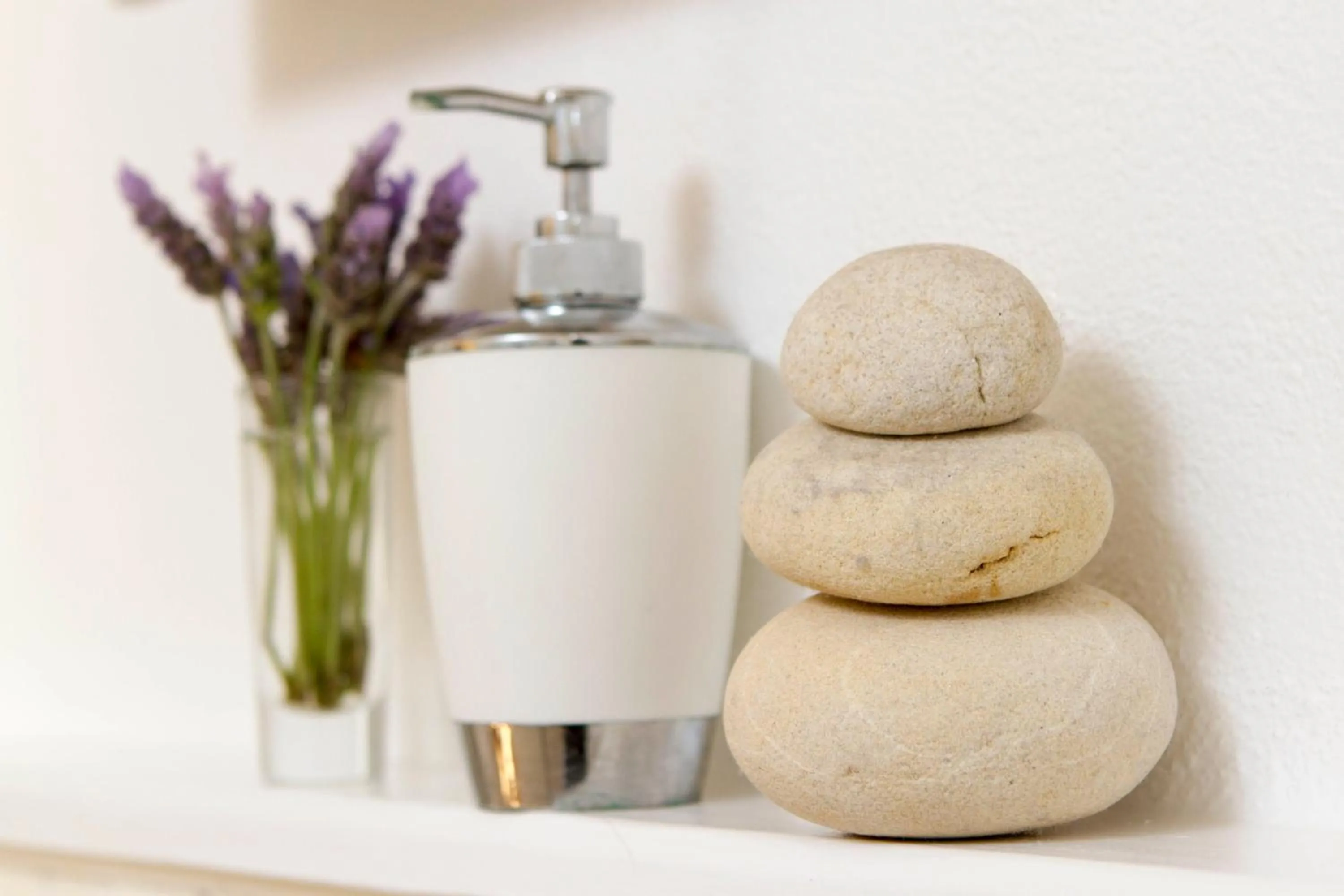 Toilet in Albatross Guest House