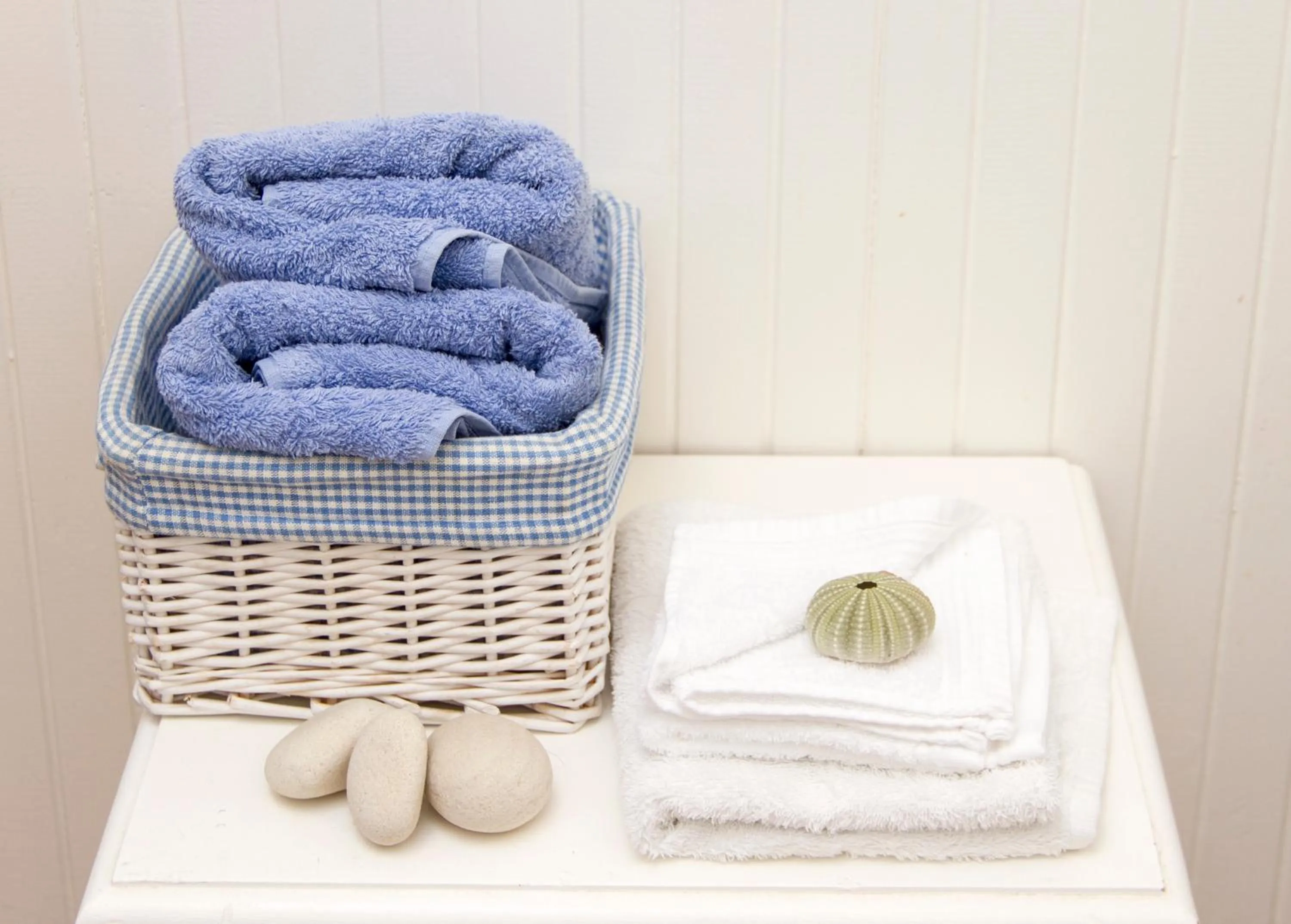 Toilet in Albatross Guest House