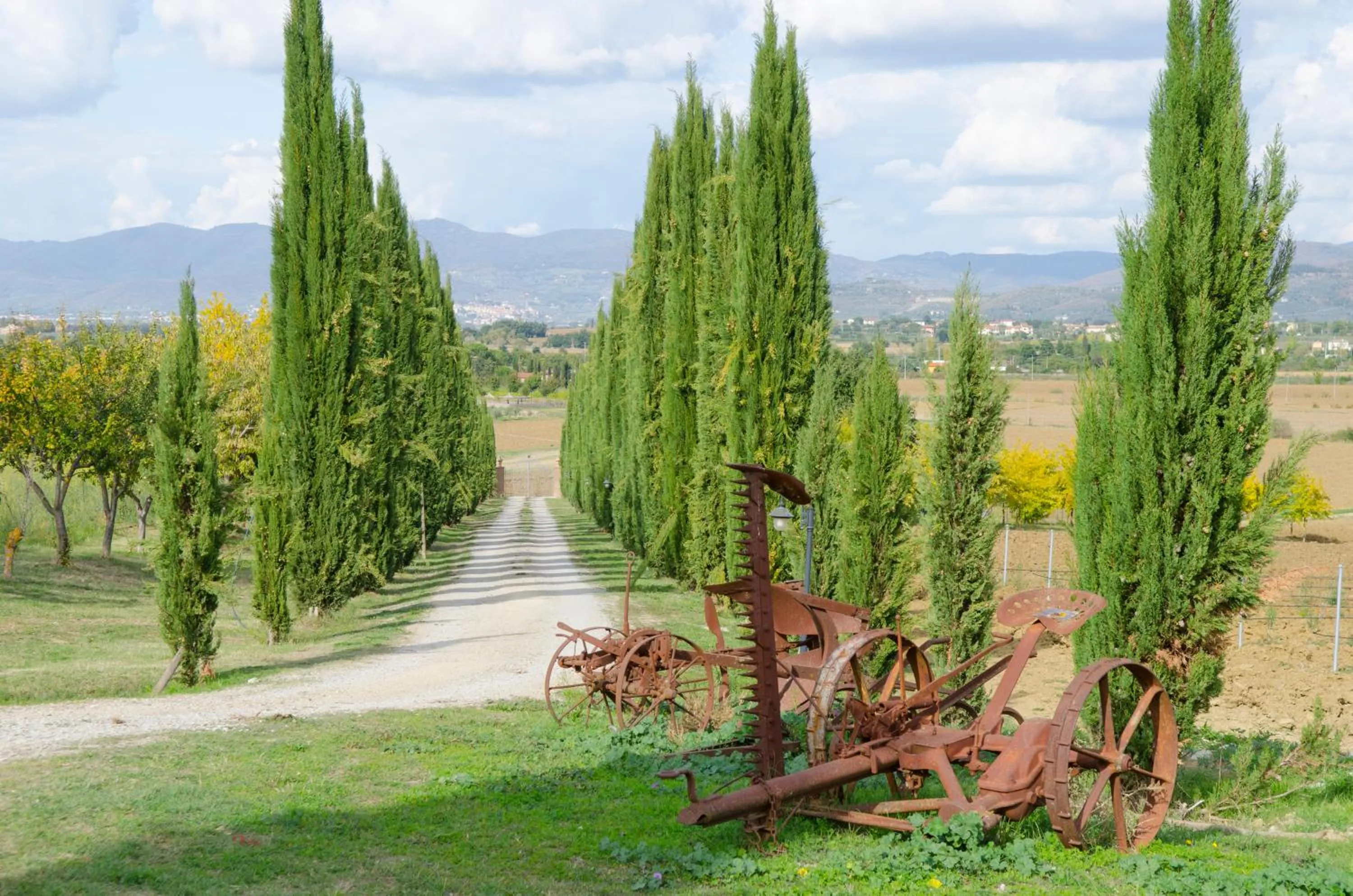 Street view in Fattoria Le Giare Agriturismo