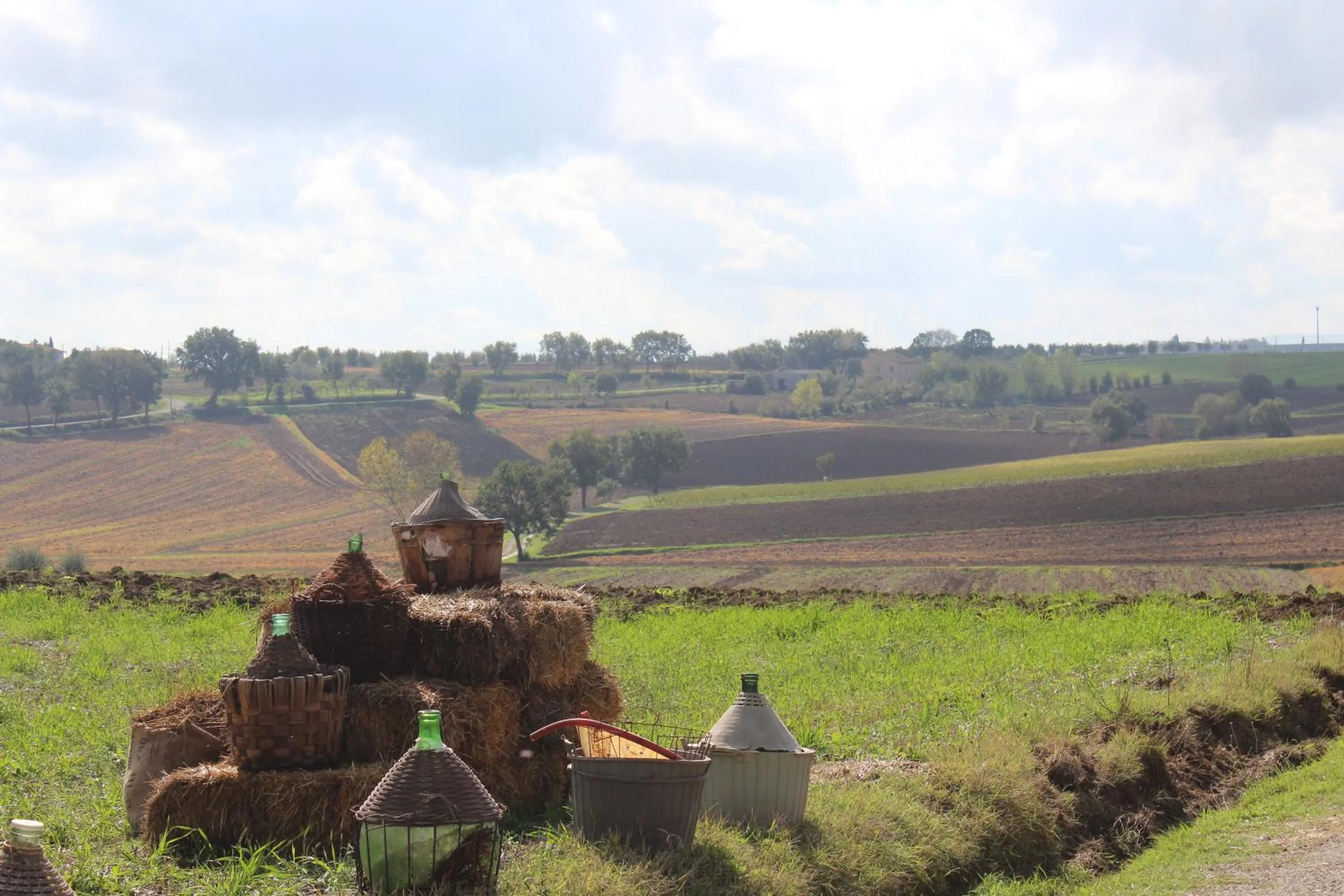 Decorative detail in Fattoria Le Giare Agriturismo