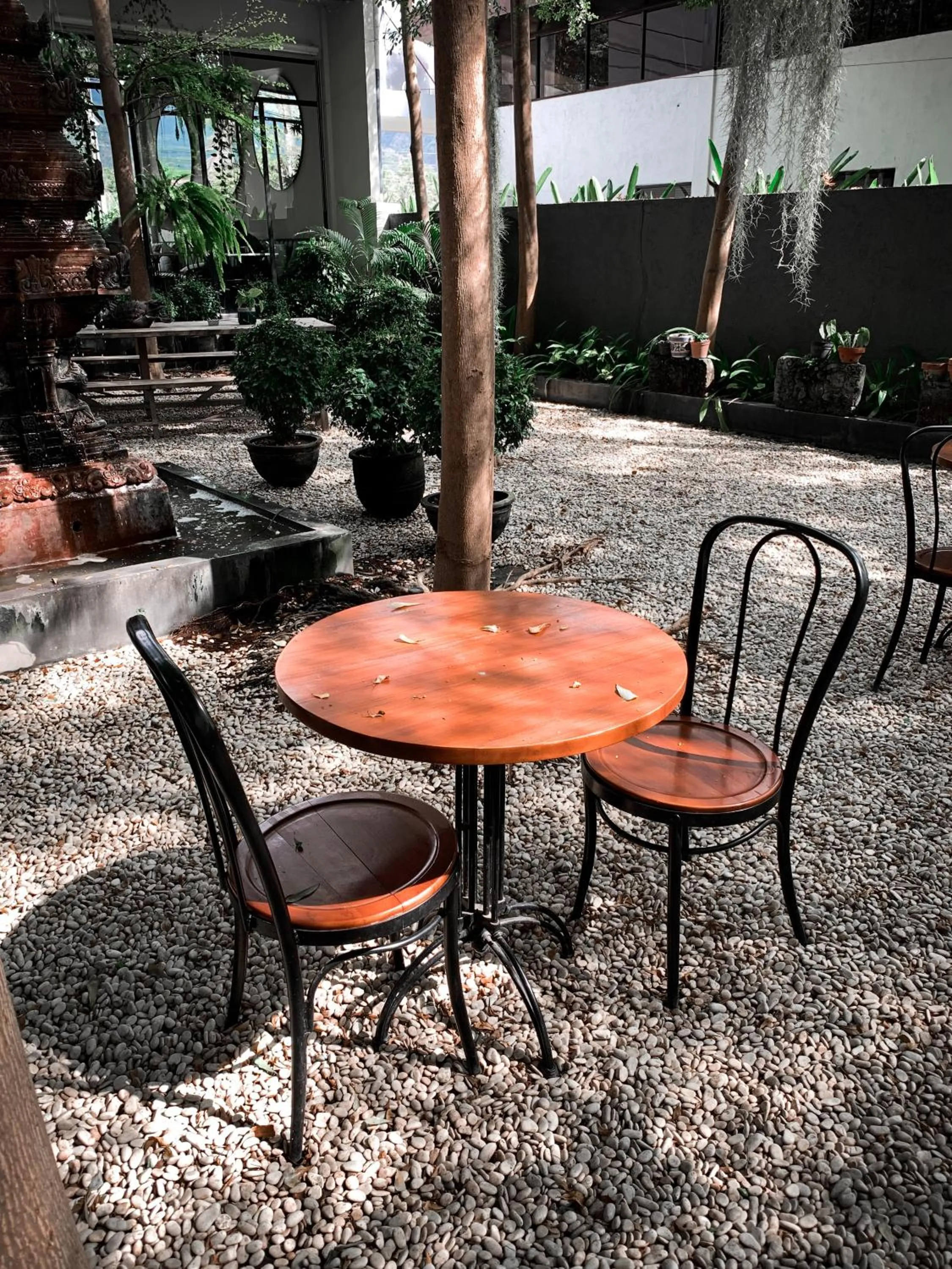 Garden in Lovinalife Room & Cafe