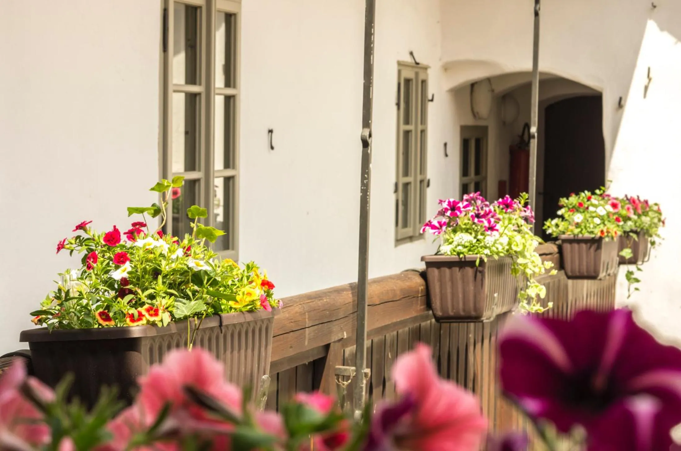 Property building in Hotel Kocour