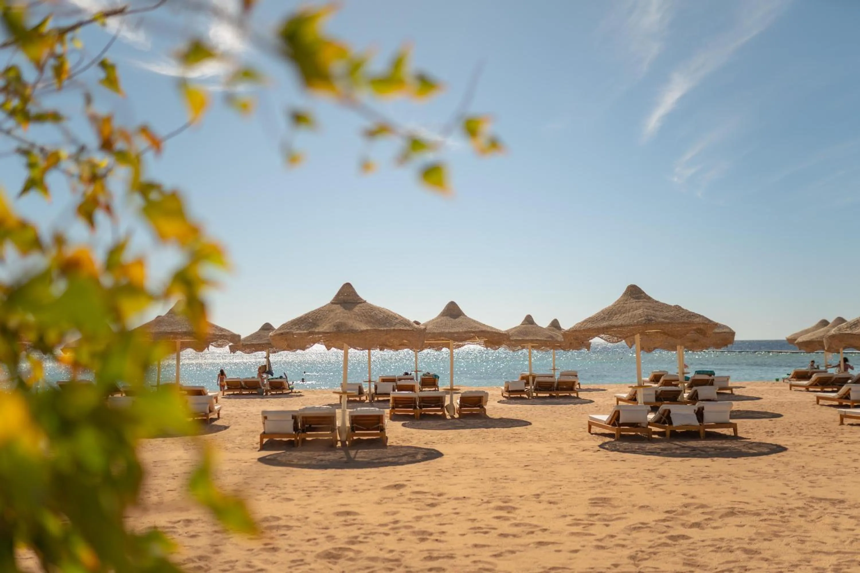 Beach in Baron Resort Sharm El Sheikh