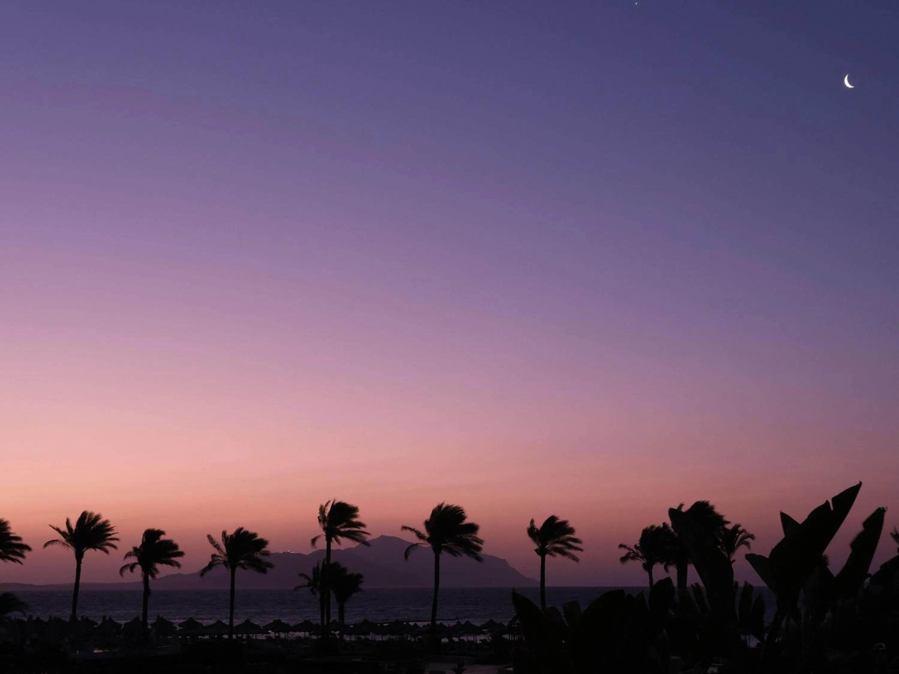 Activities in Baron Resort Sharm El Sheikh