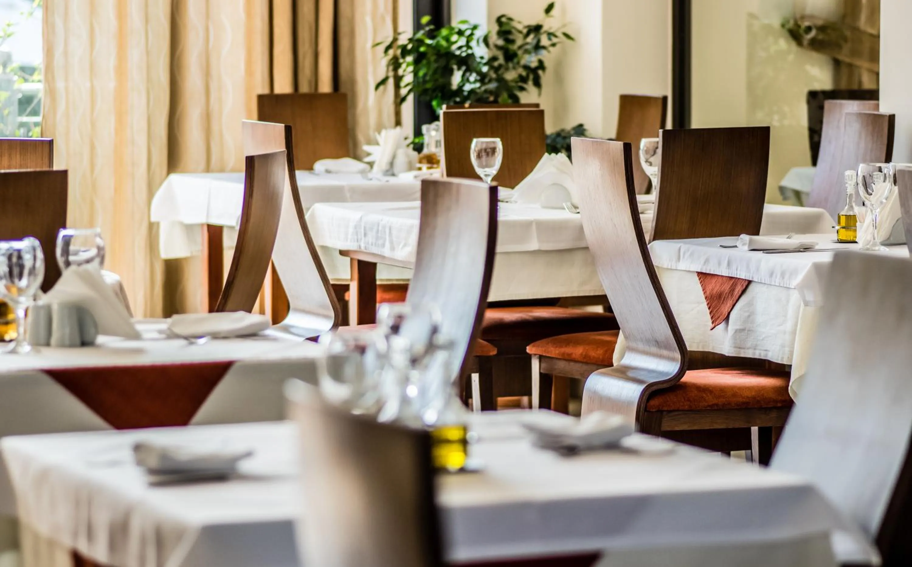 Restaurant/places to eat in Astir Notos