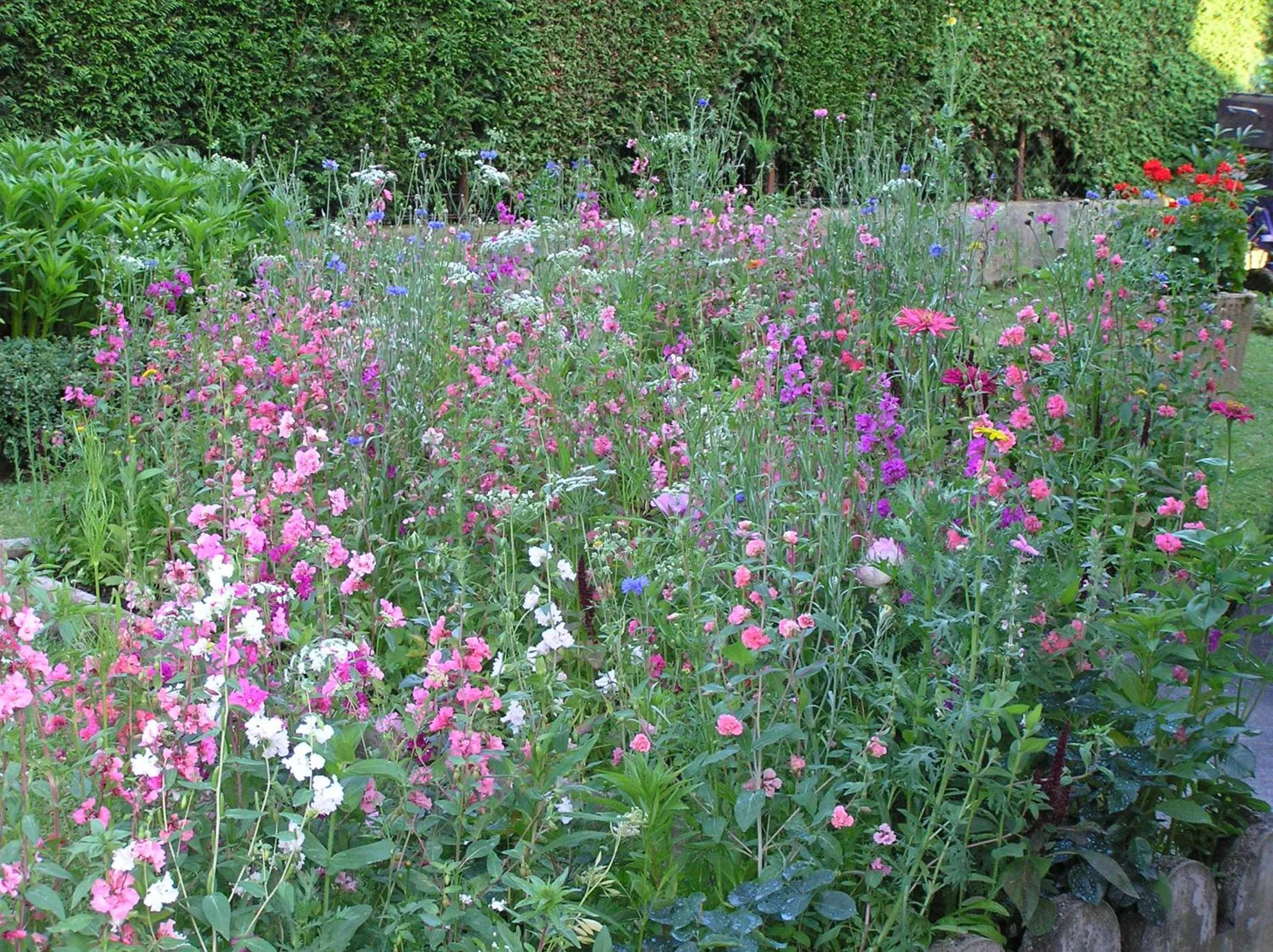 Chez Laurette et Louis