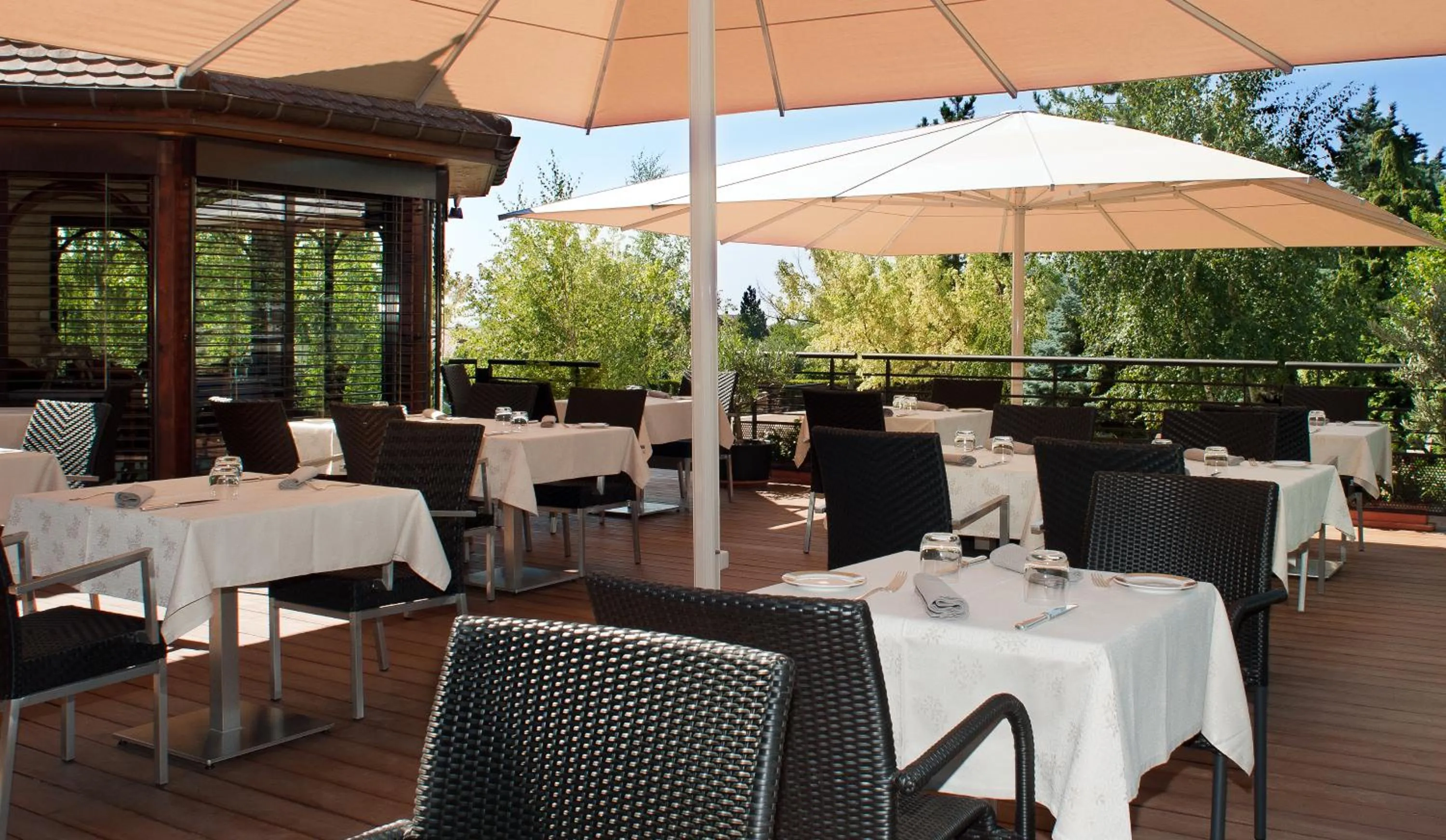 Balcony/Terrace in Logis Hotel Le Parc & Spa