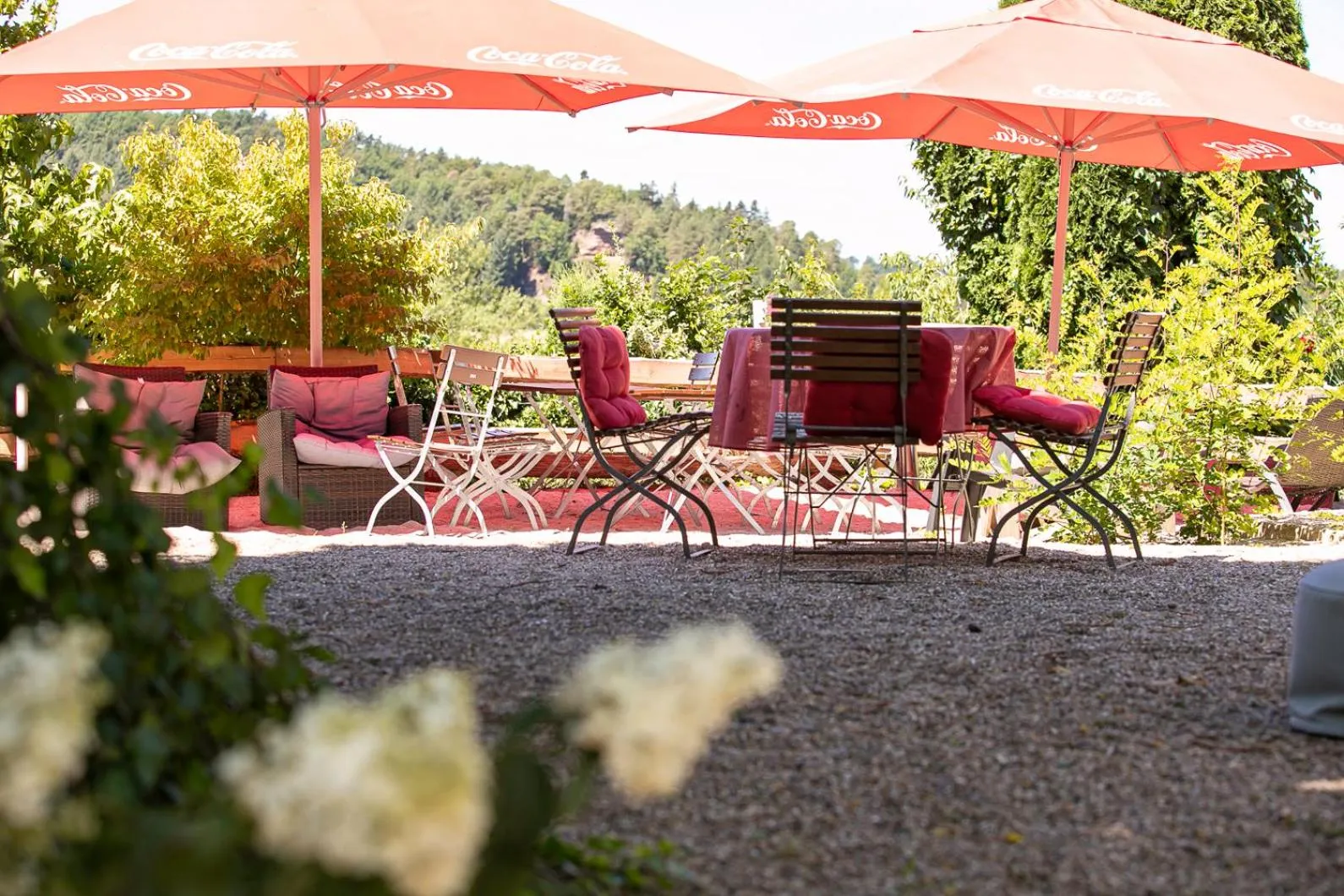 Garden in Longhorn Ranch Countryhotel - Garni