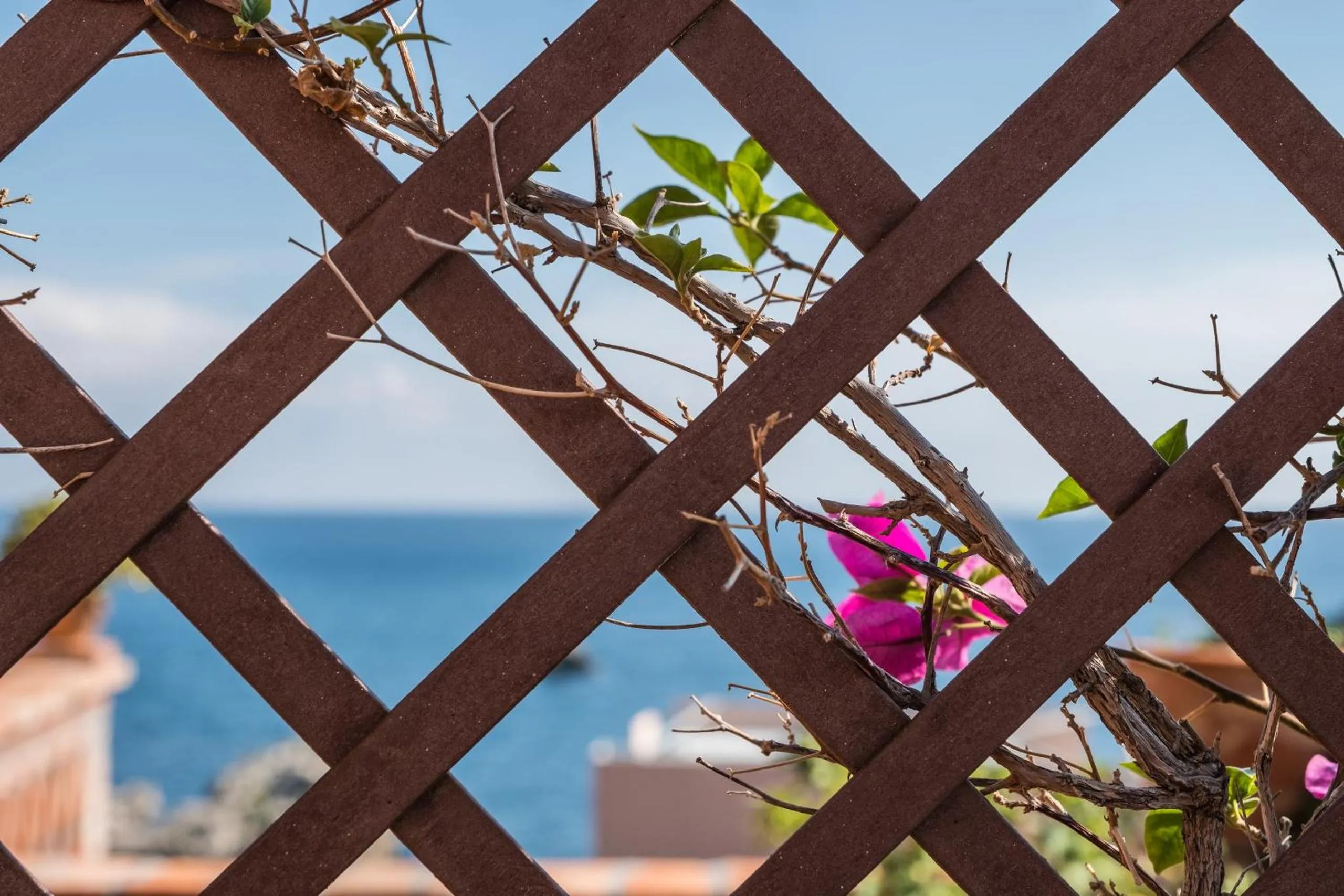 View (from property/room) in Hotel Villino Gallodoro