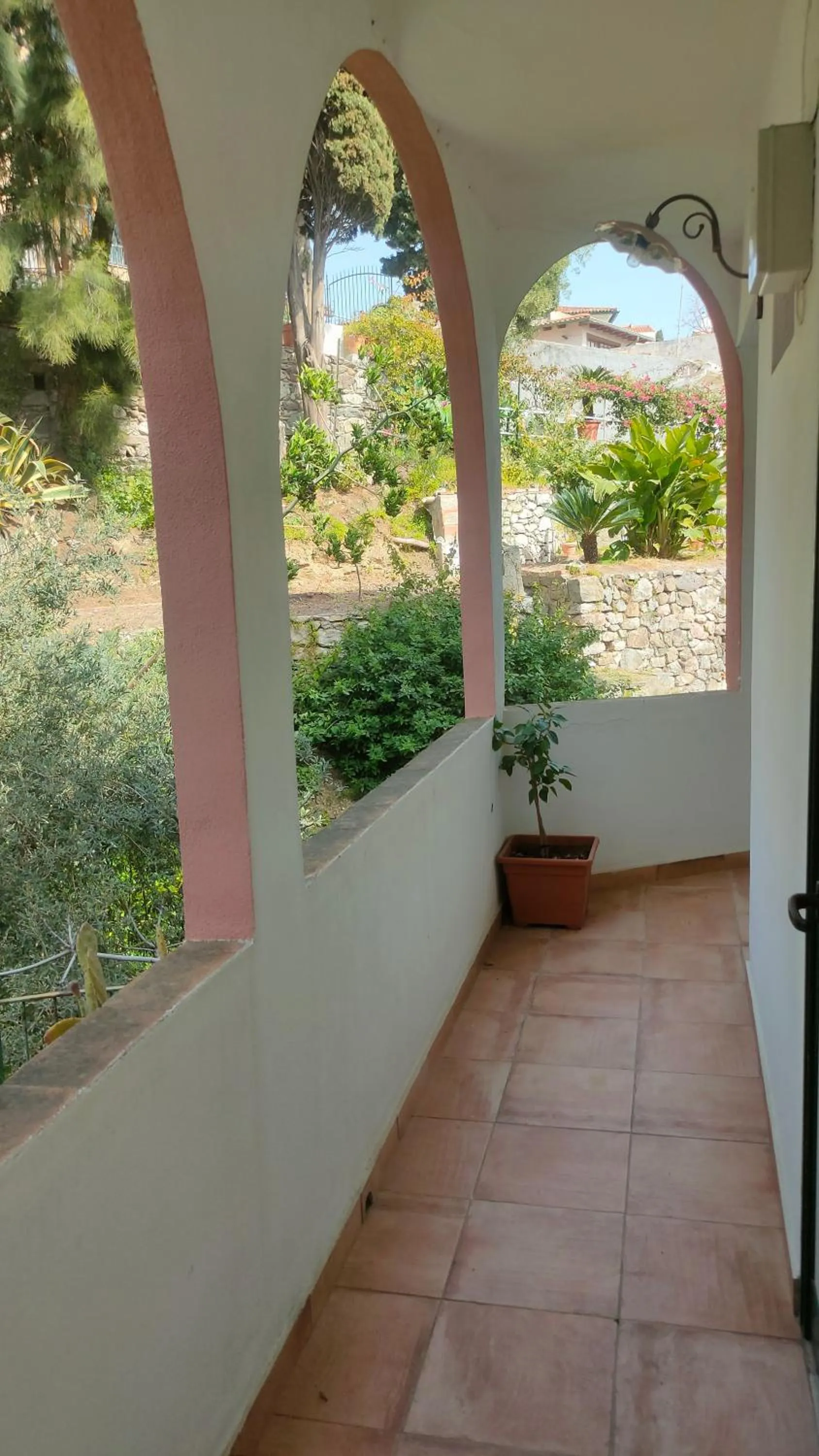 Garden view in Hotel Villino Gallodoro