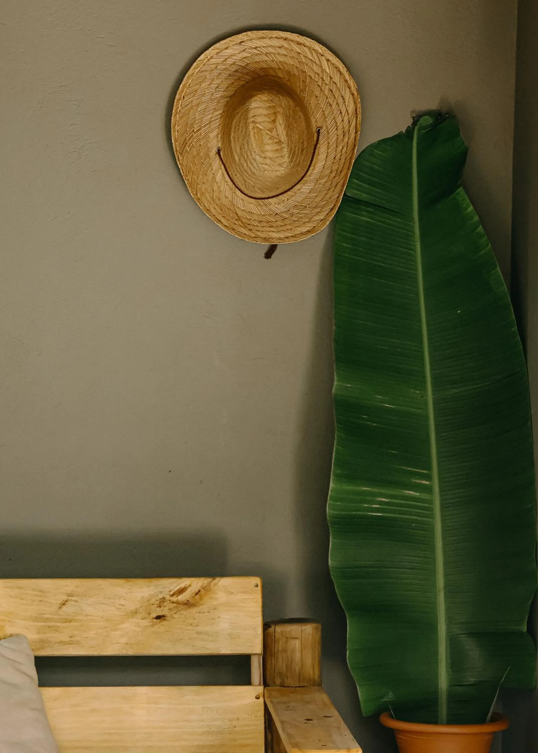 Na Villa dos Algodões