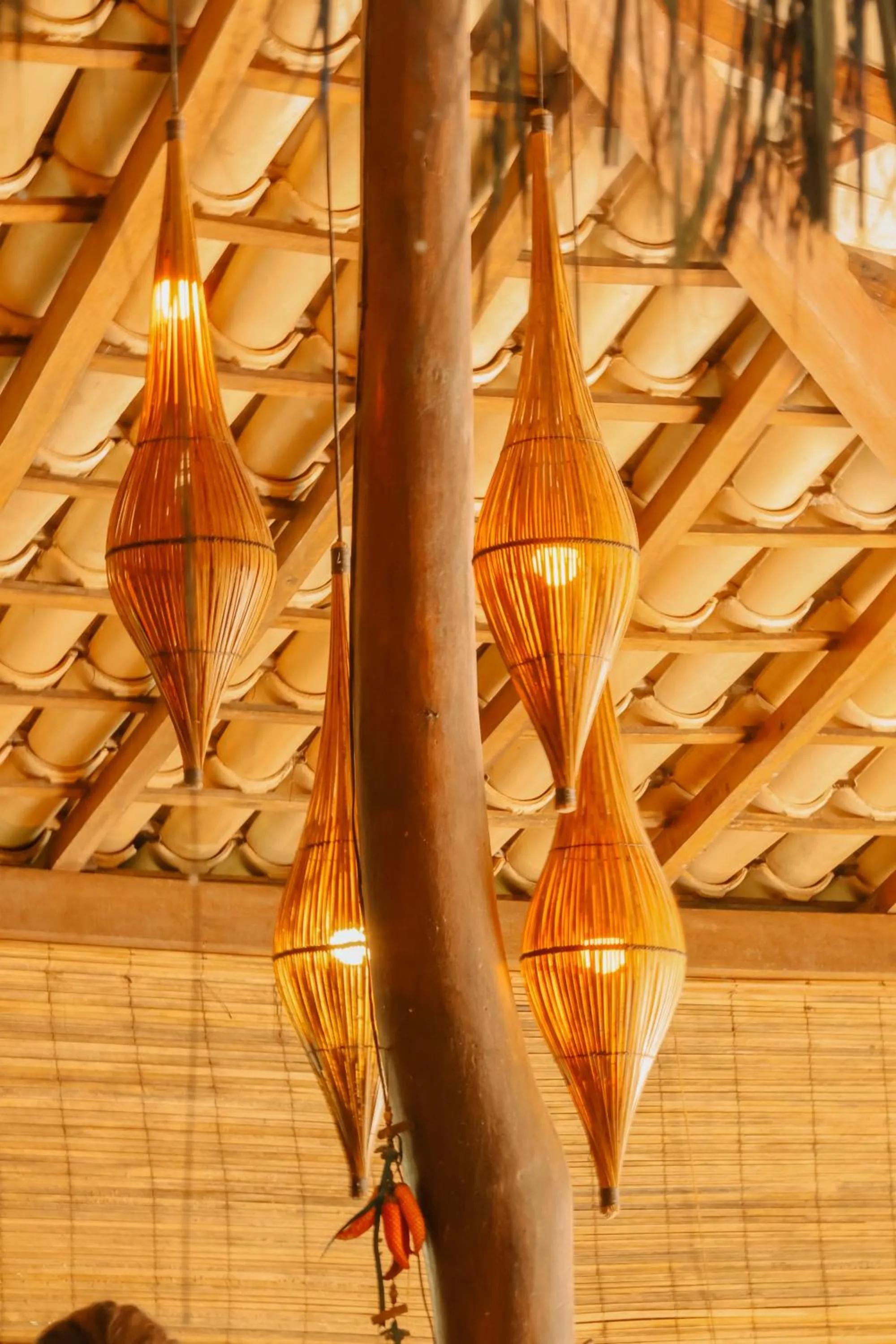 Na Villa dos Algodões