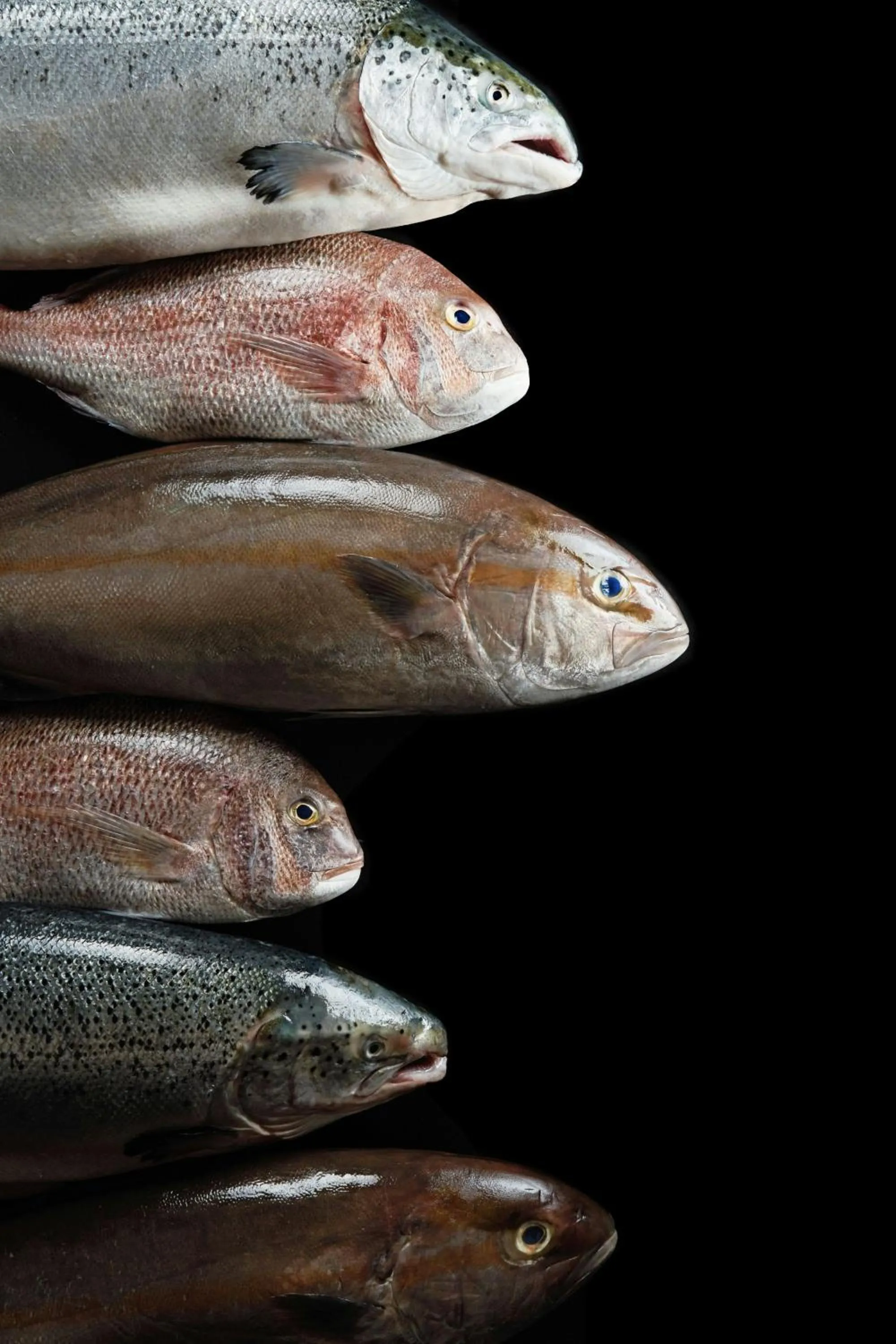 Restaurant/places to eat in JW Marriott Hotel Beijing