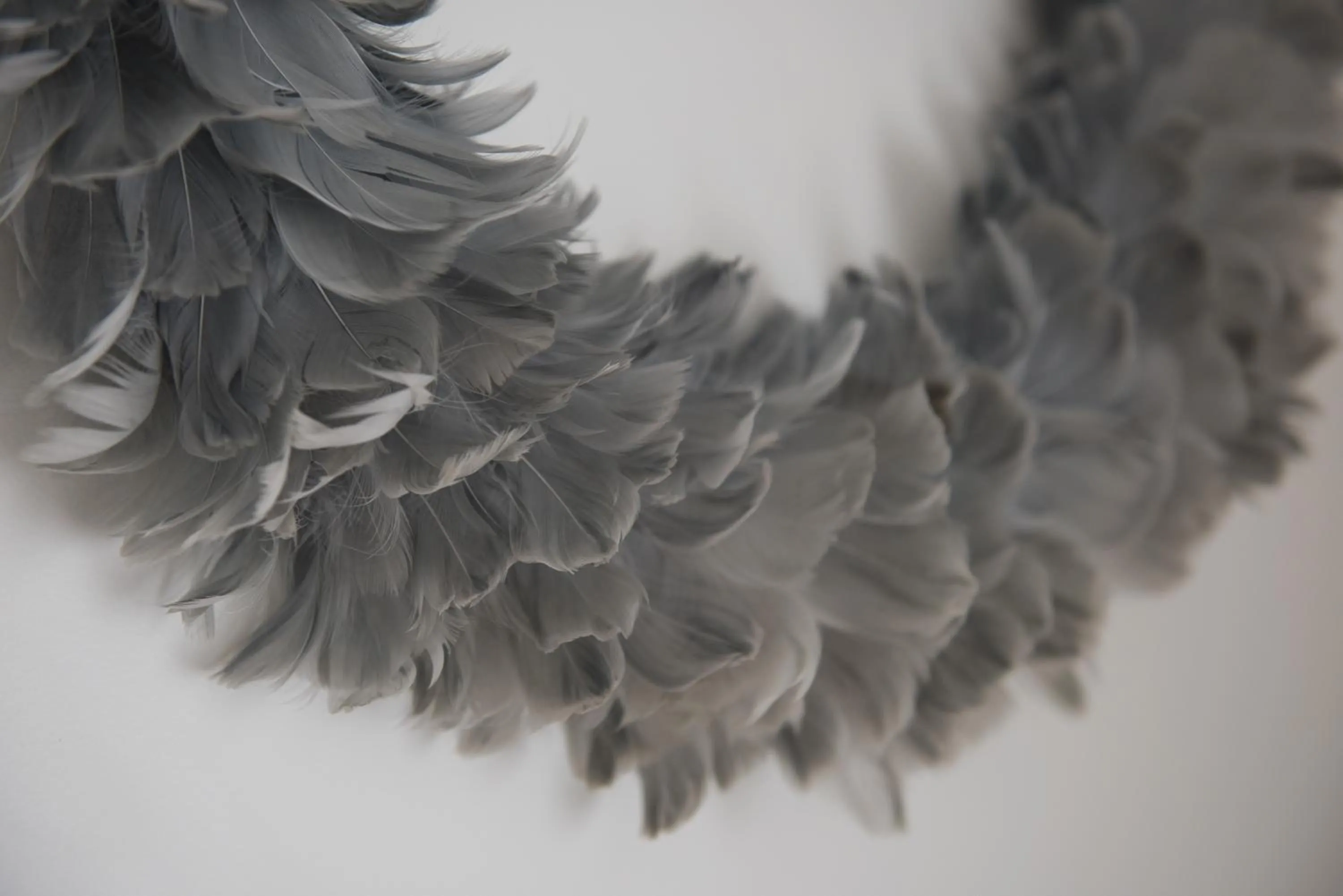 The Lodges At Transport World