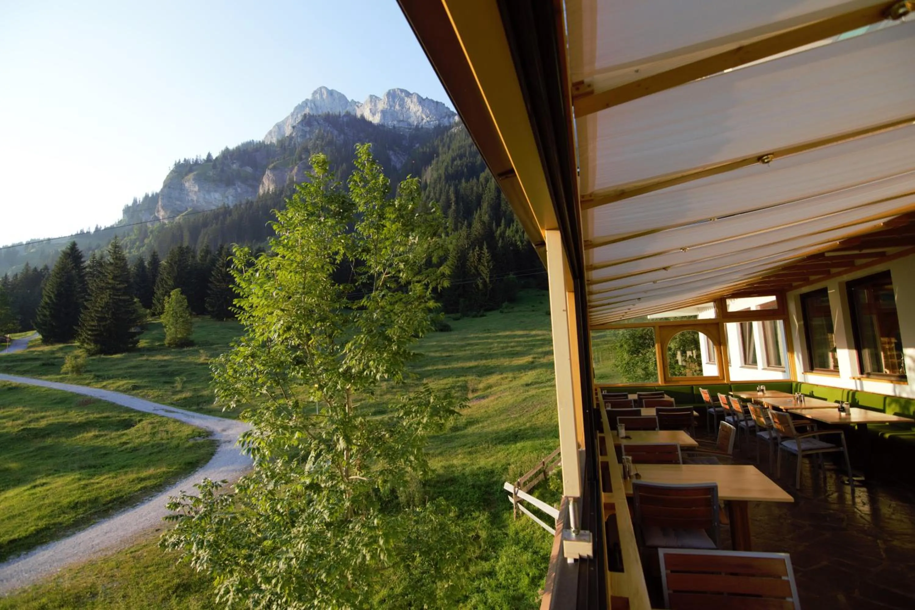 Balcony/Terrace in Hotel Berghof