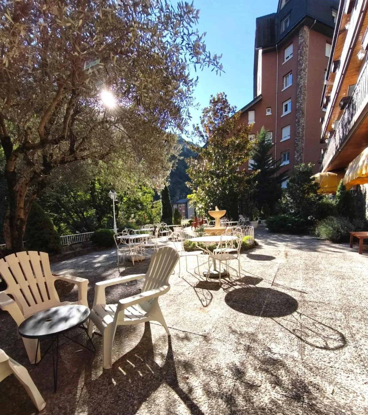 Garden in Hotel Sol-Park